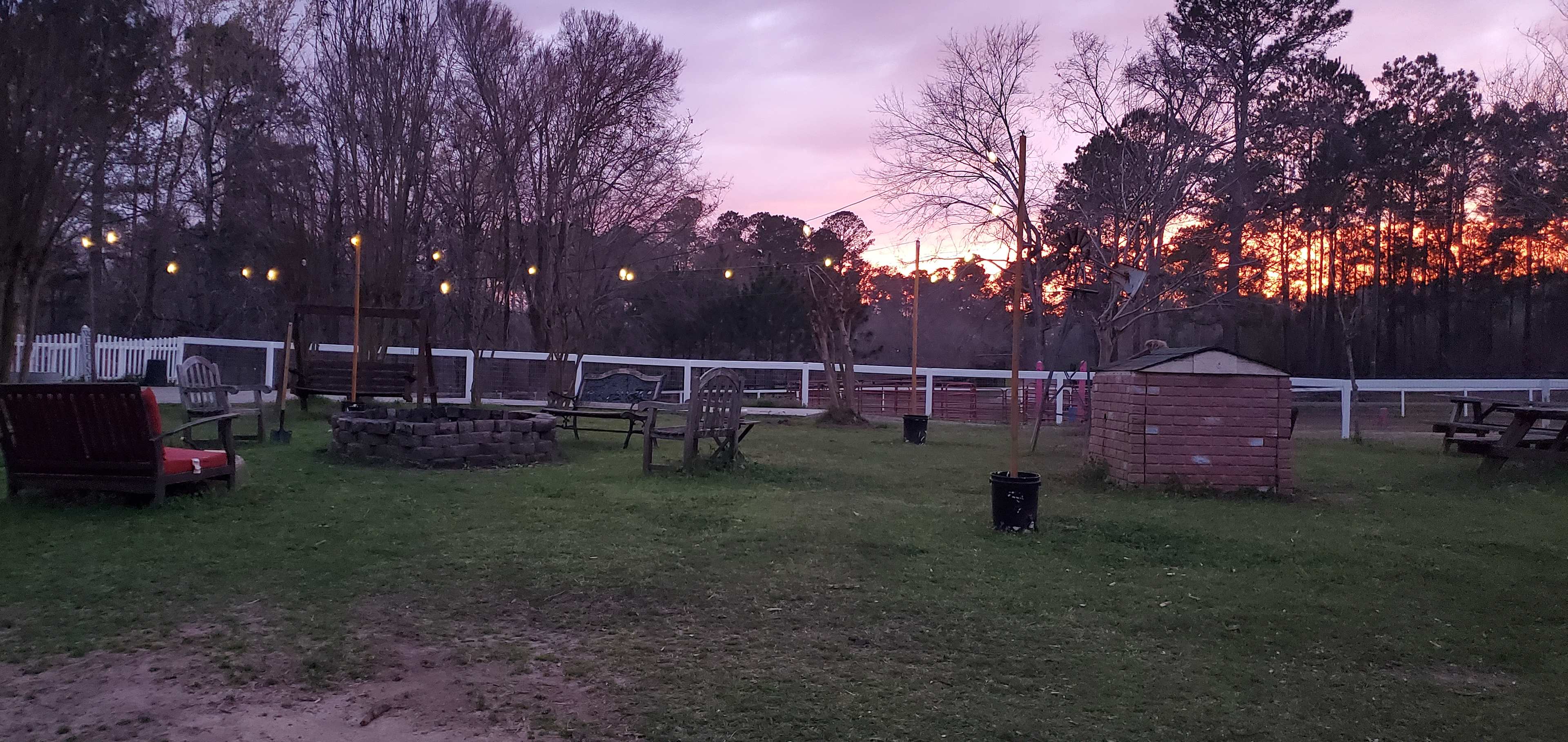 Camp Hope at Hope for Hooves Rescue