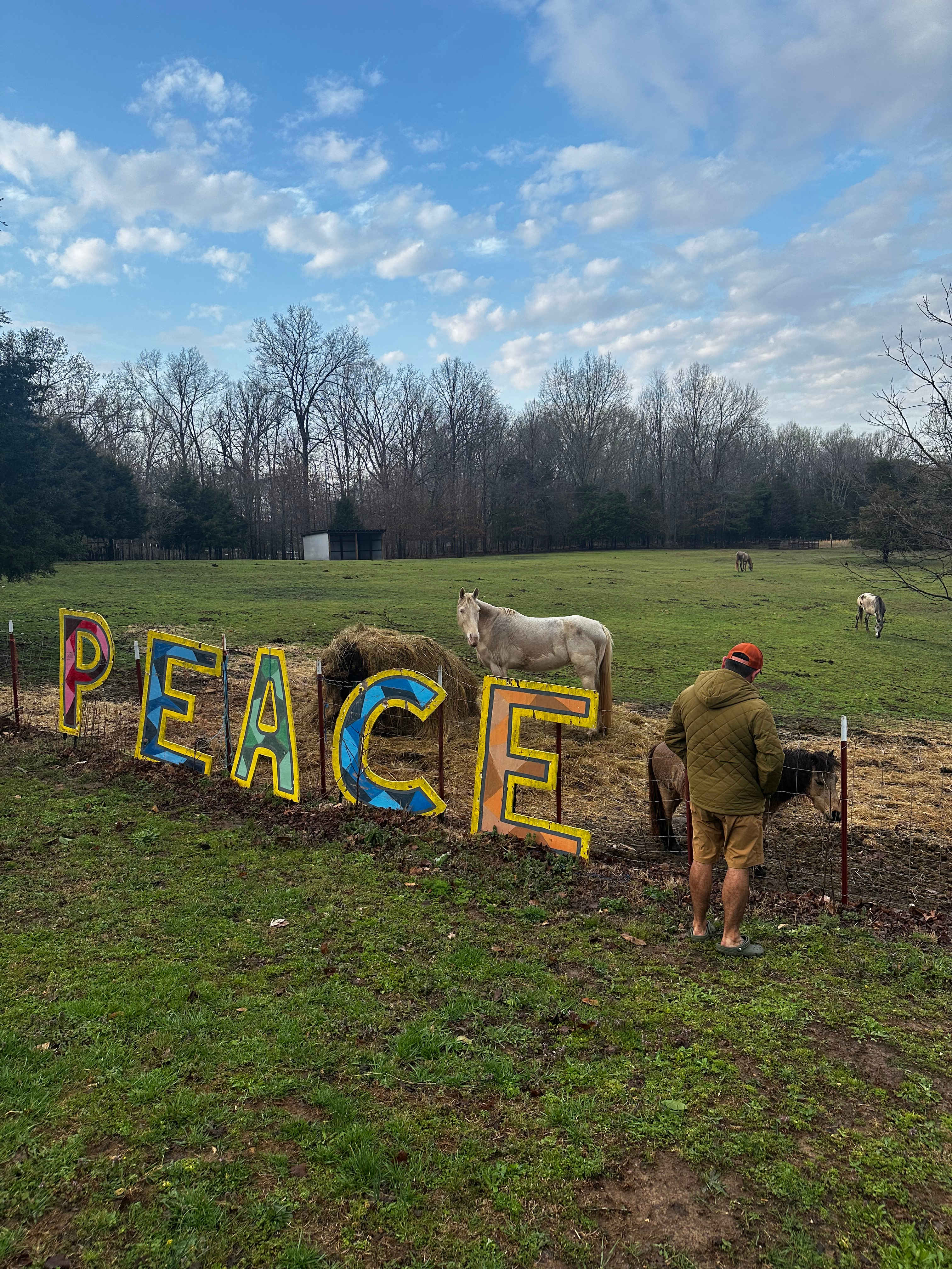 Horse pasture