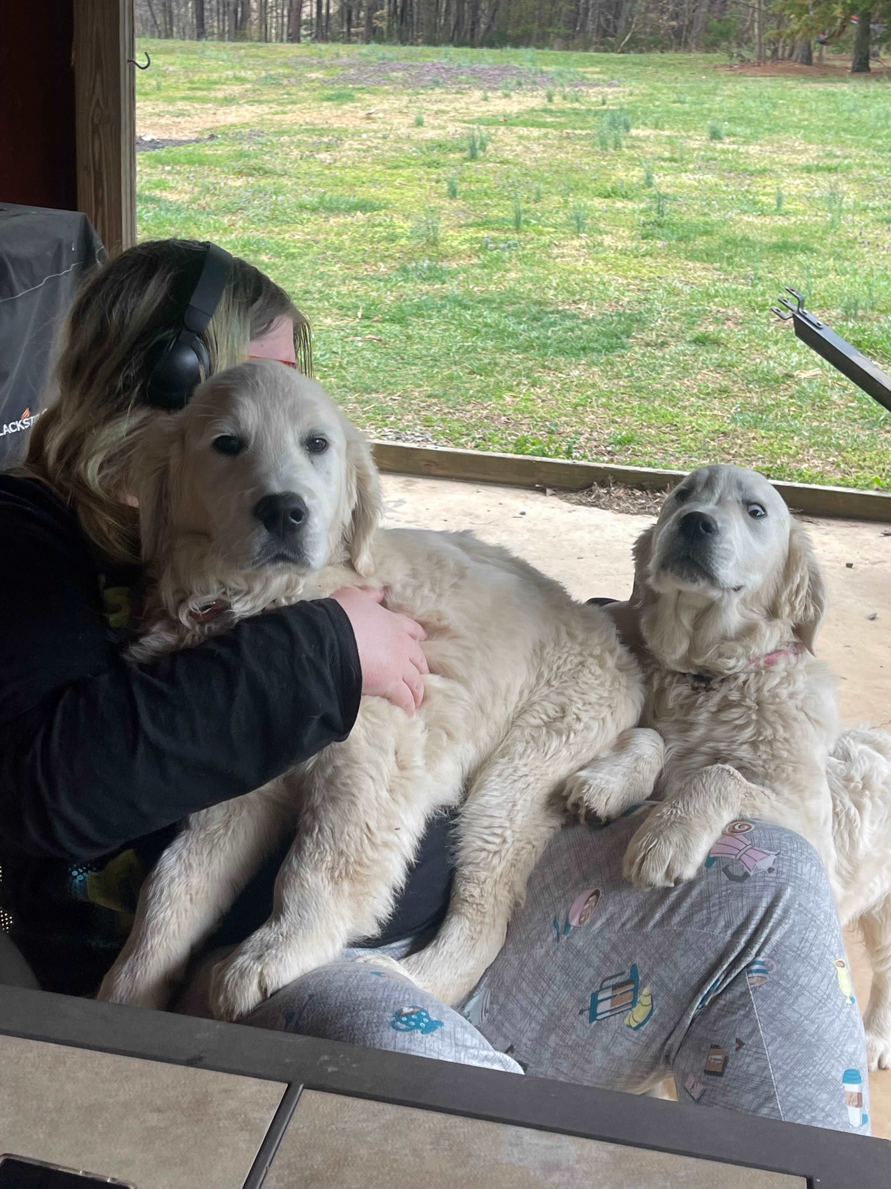 The eyes - cracking us up!!