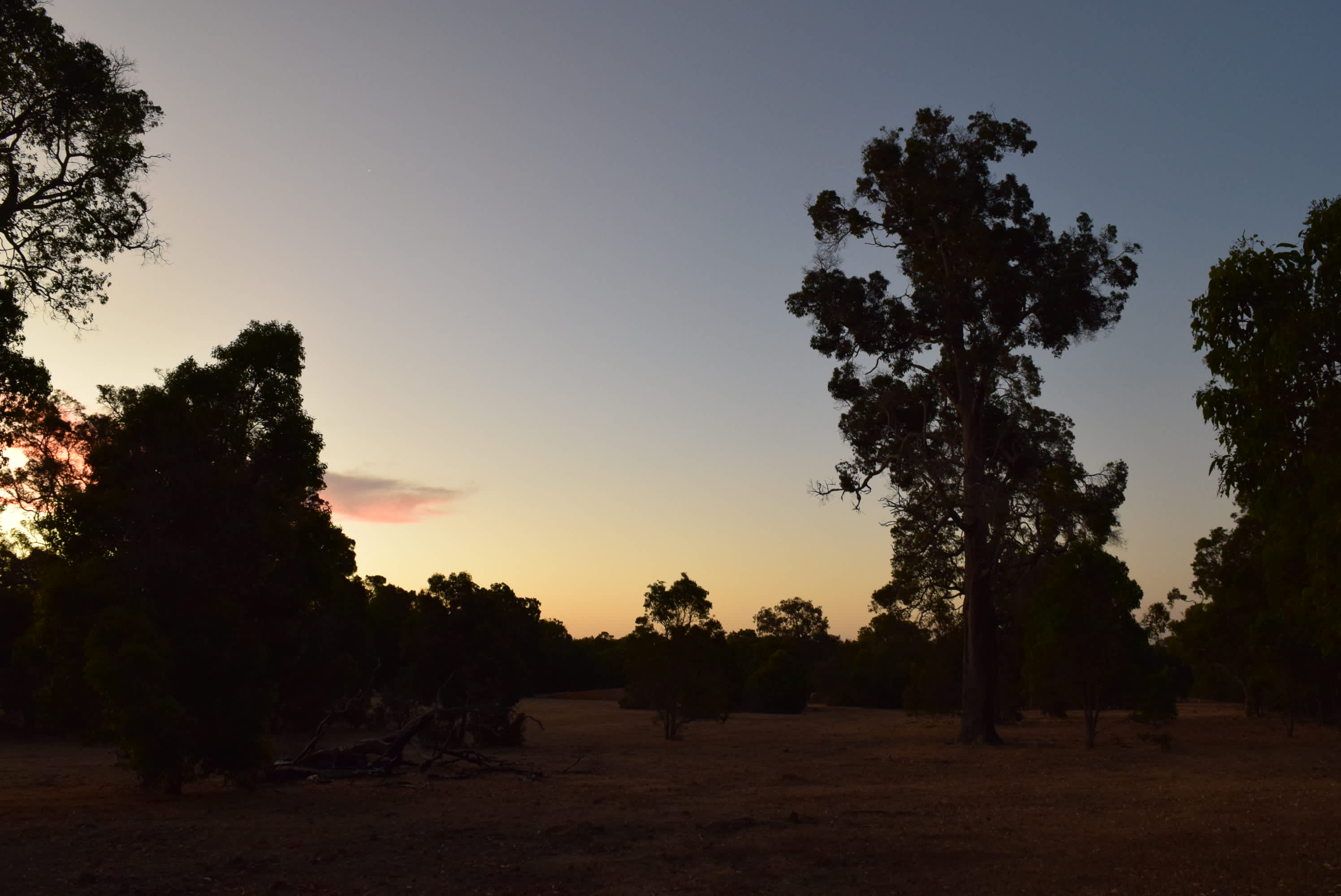 Whicher Farm Campsite