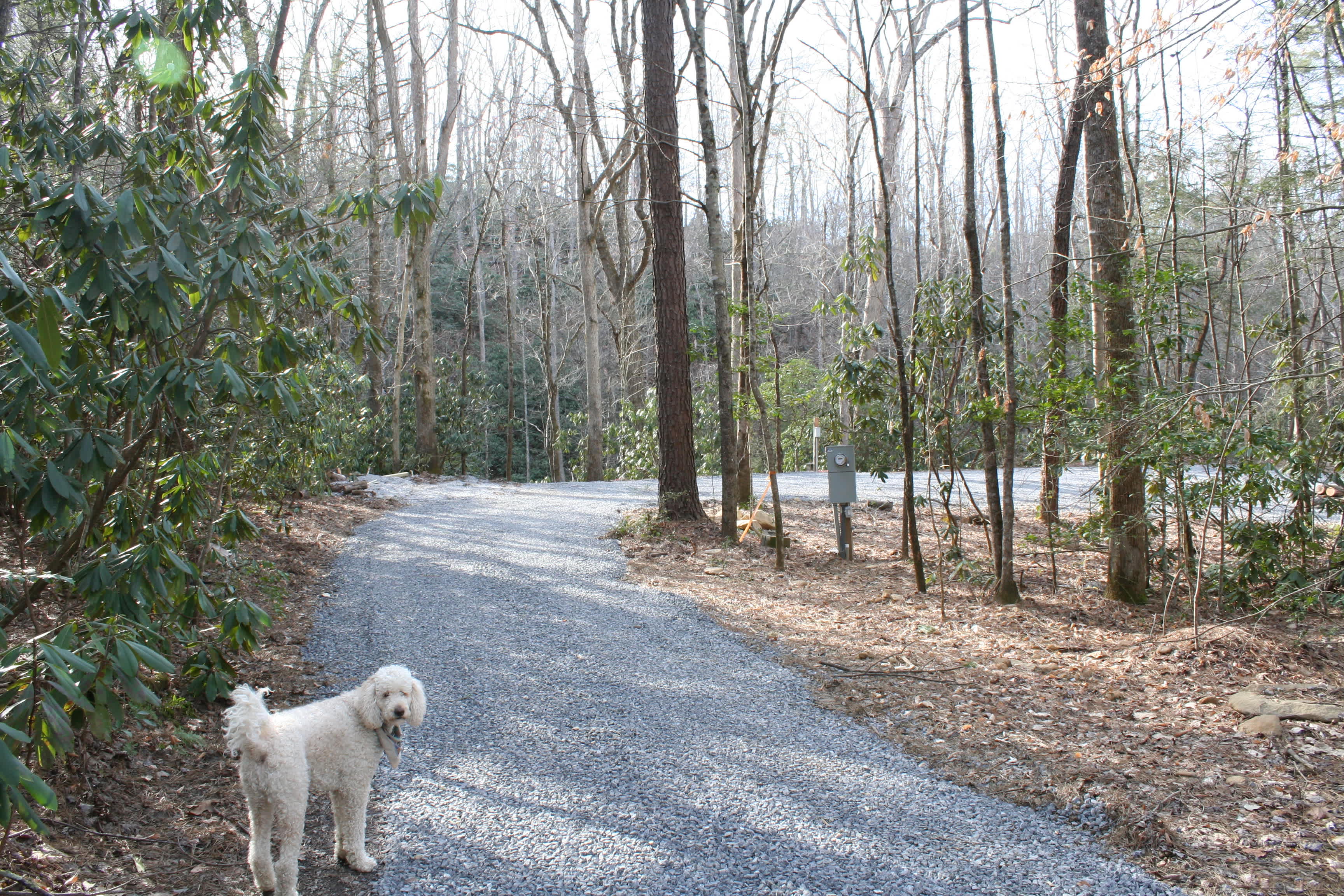 Moonshine Ridge Campground
