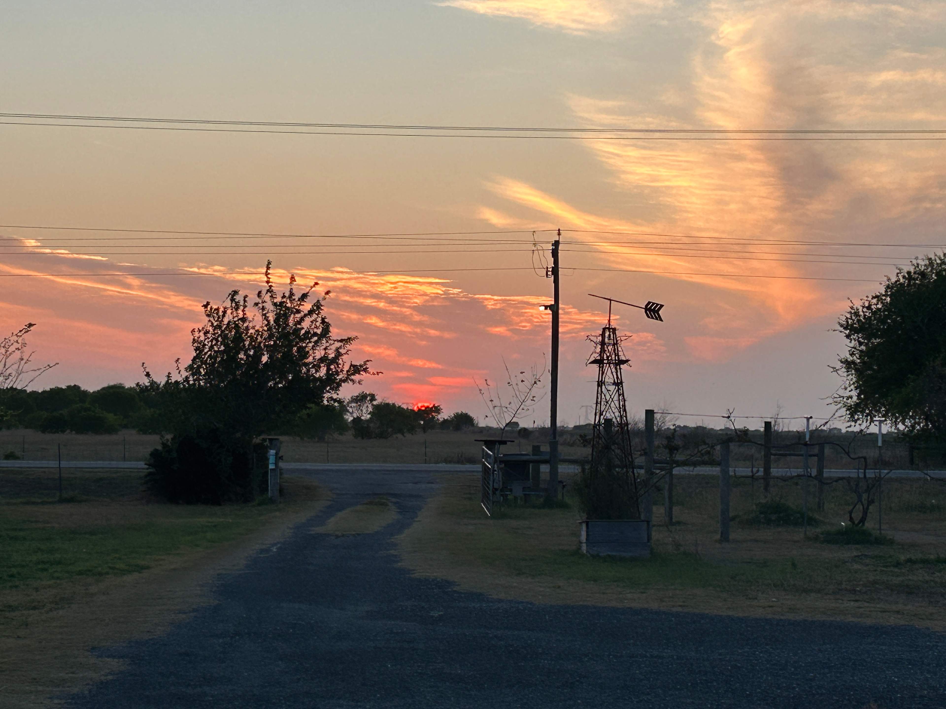 Freedom Harvest Farms