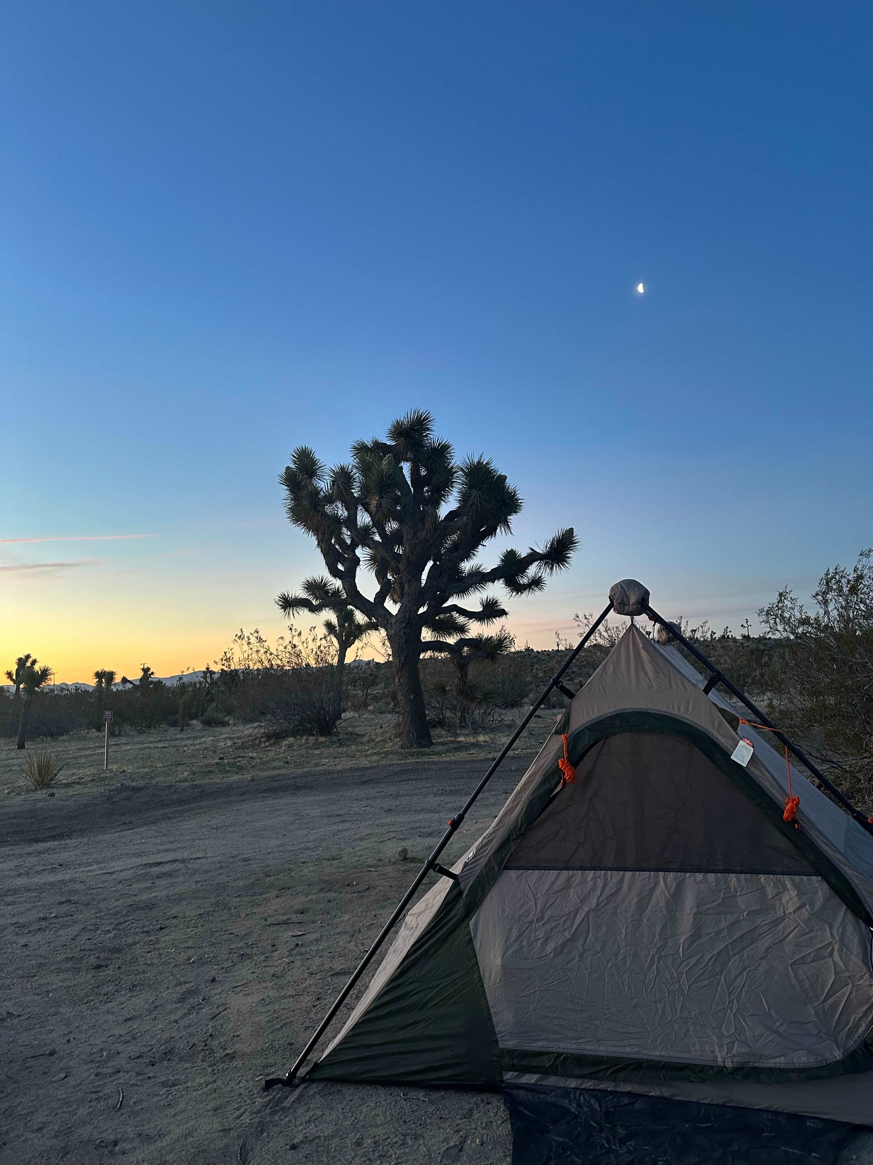 Serene! 15 min to Joshua Natl Park