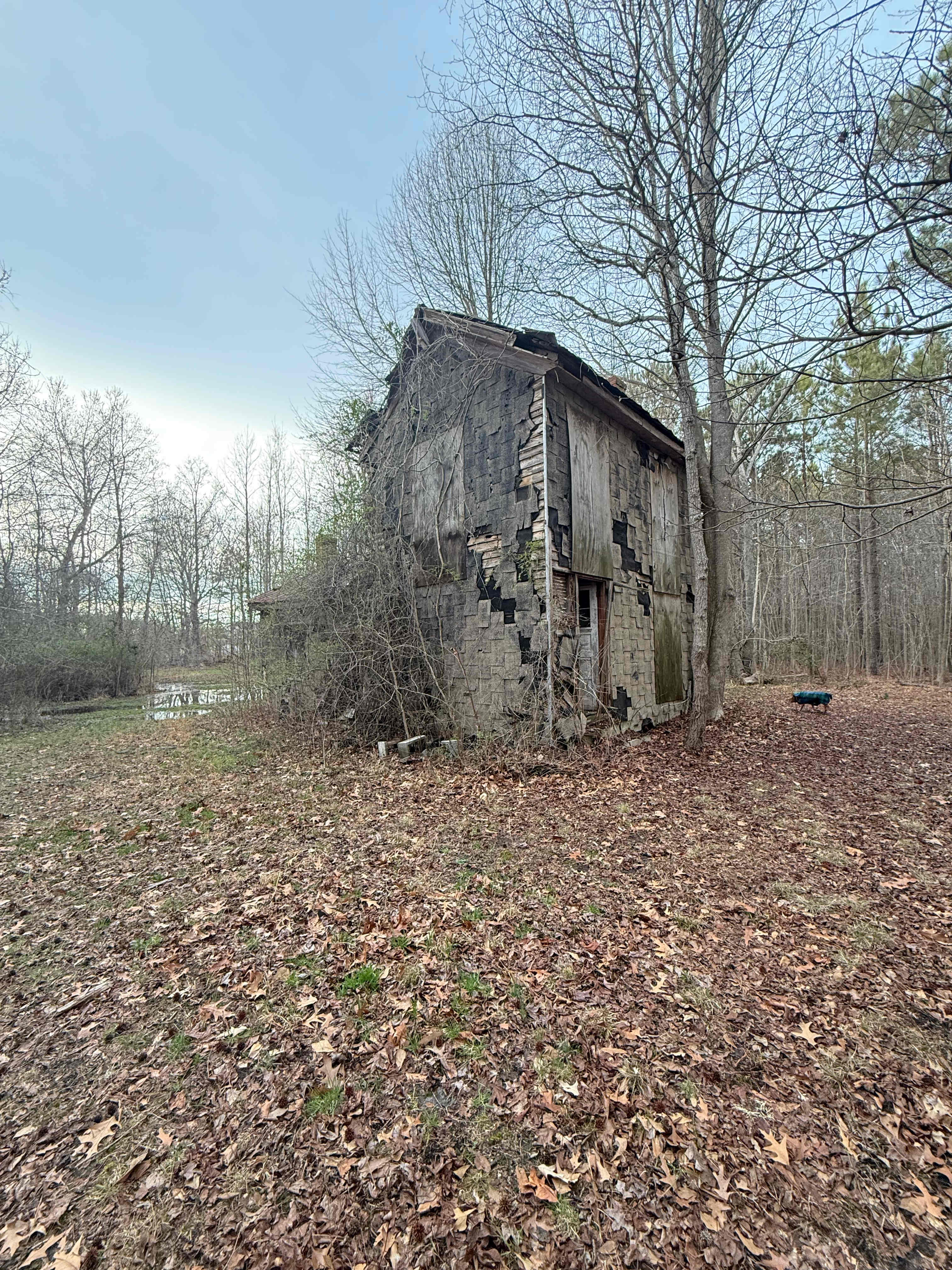 The Guinea Farm, Field, and Forest