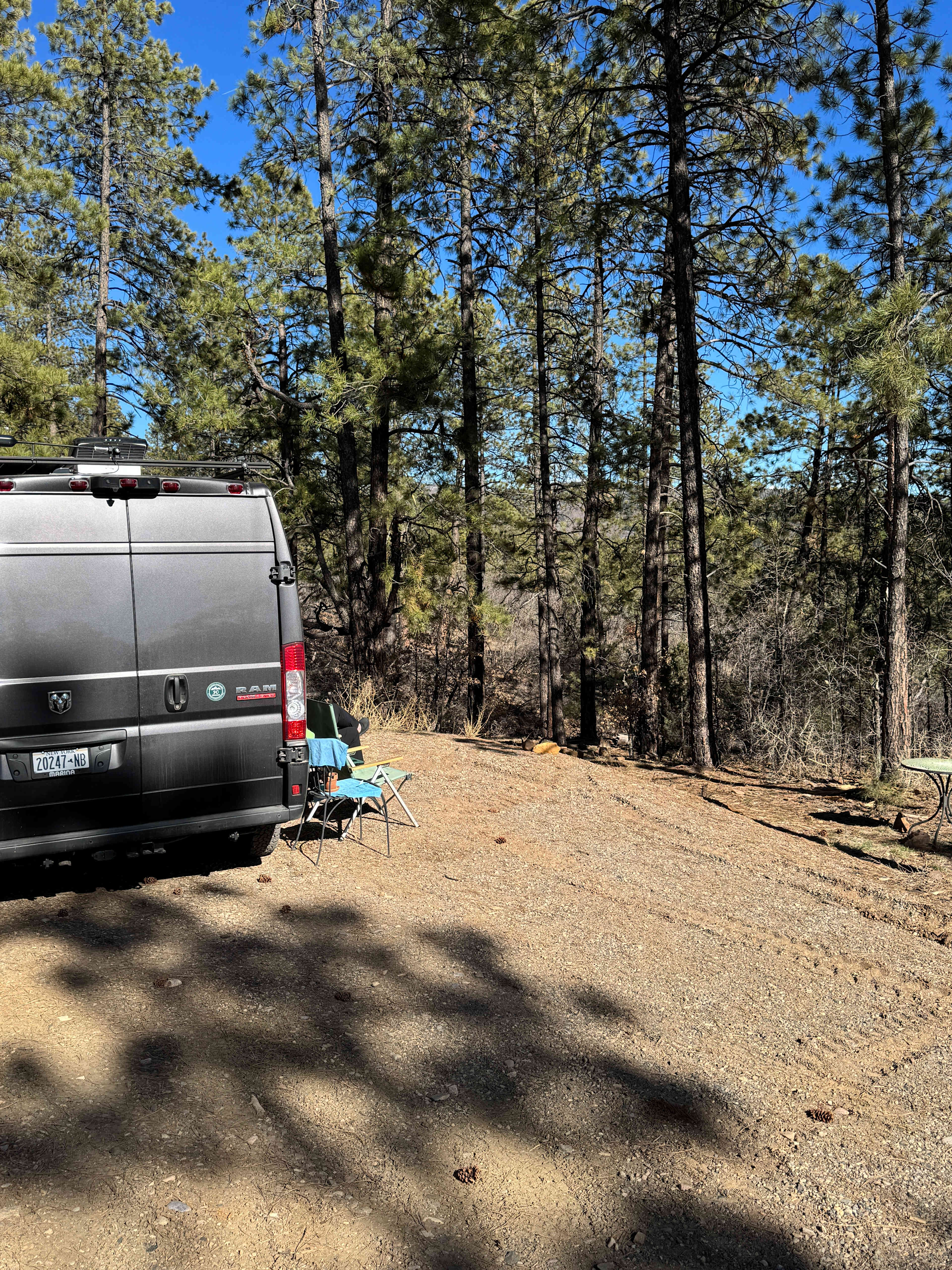 Bear springs