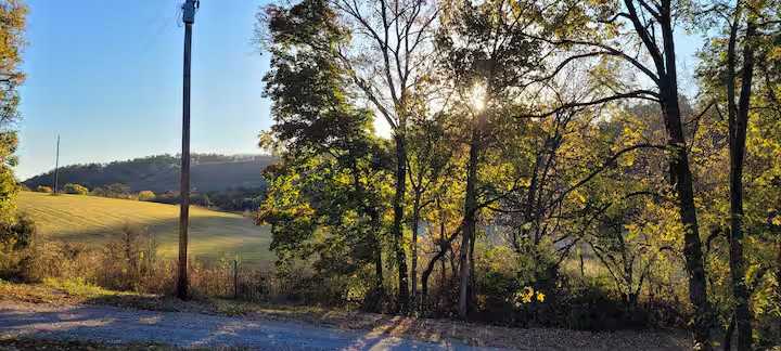 BillyJack's Farm