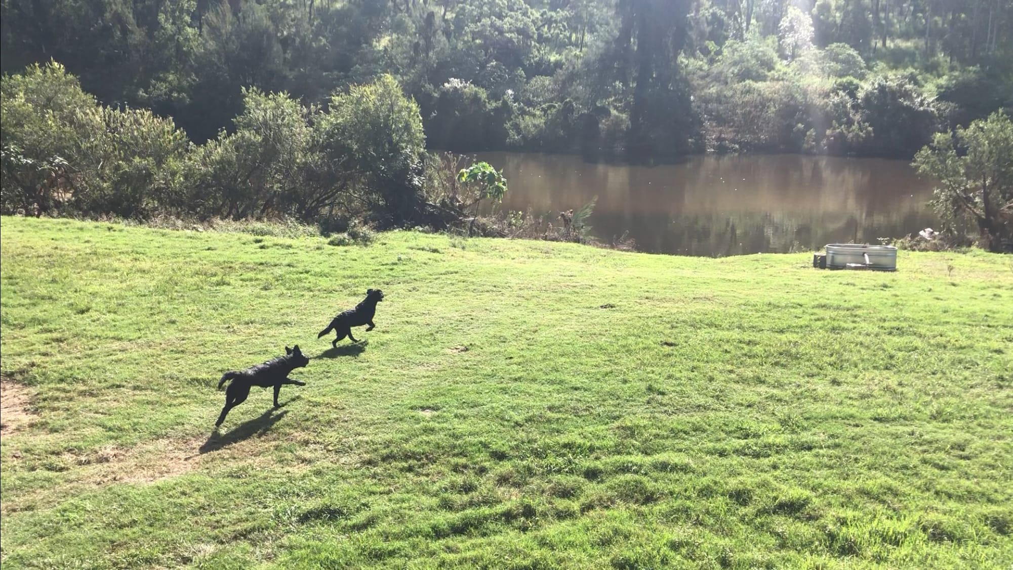 Eagle Ridge Bush Retreat