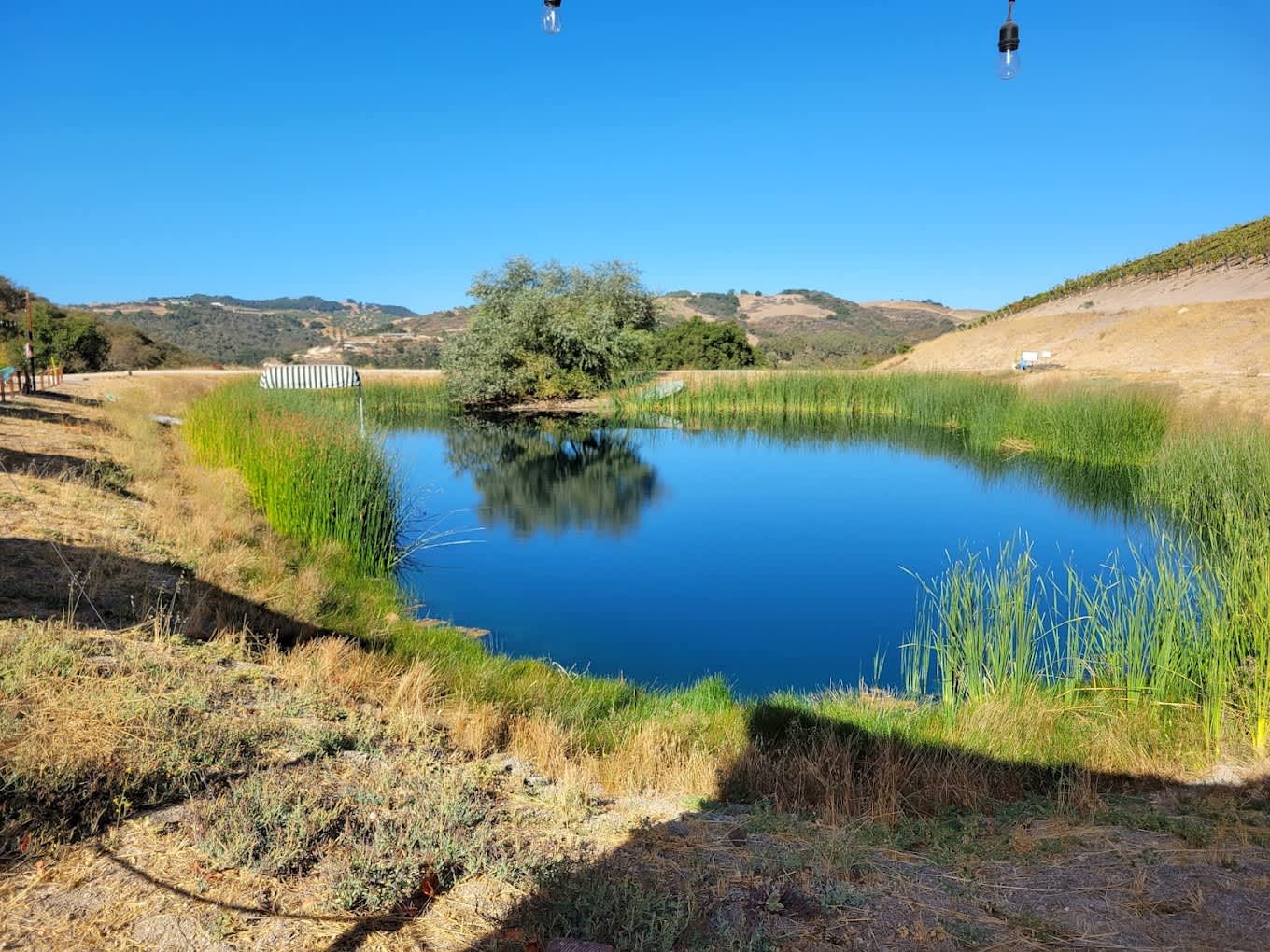 The Trailer Pond