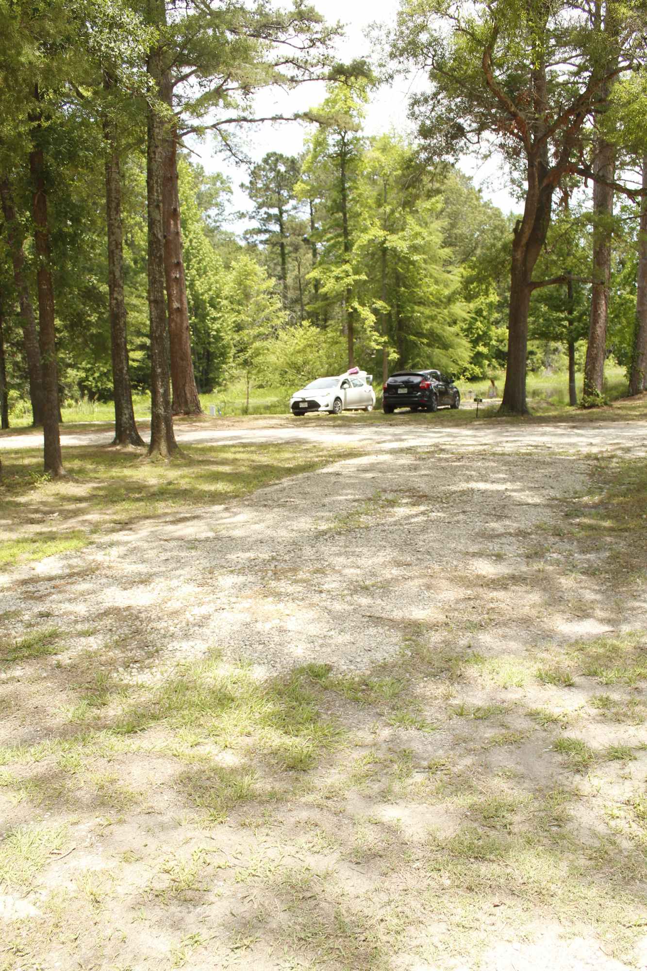Lake Tyler Marina Resort