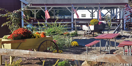 Riverdale Farm Campsite