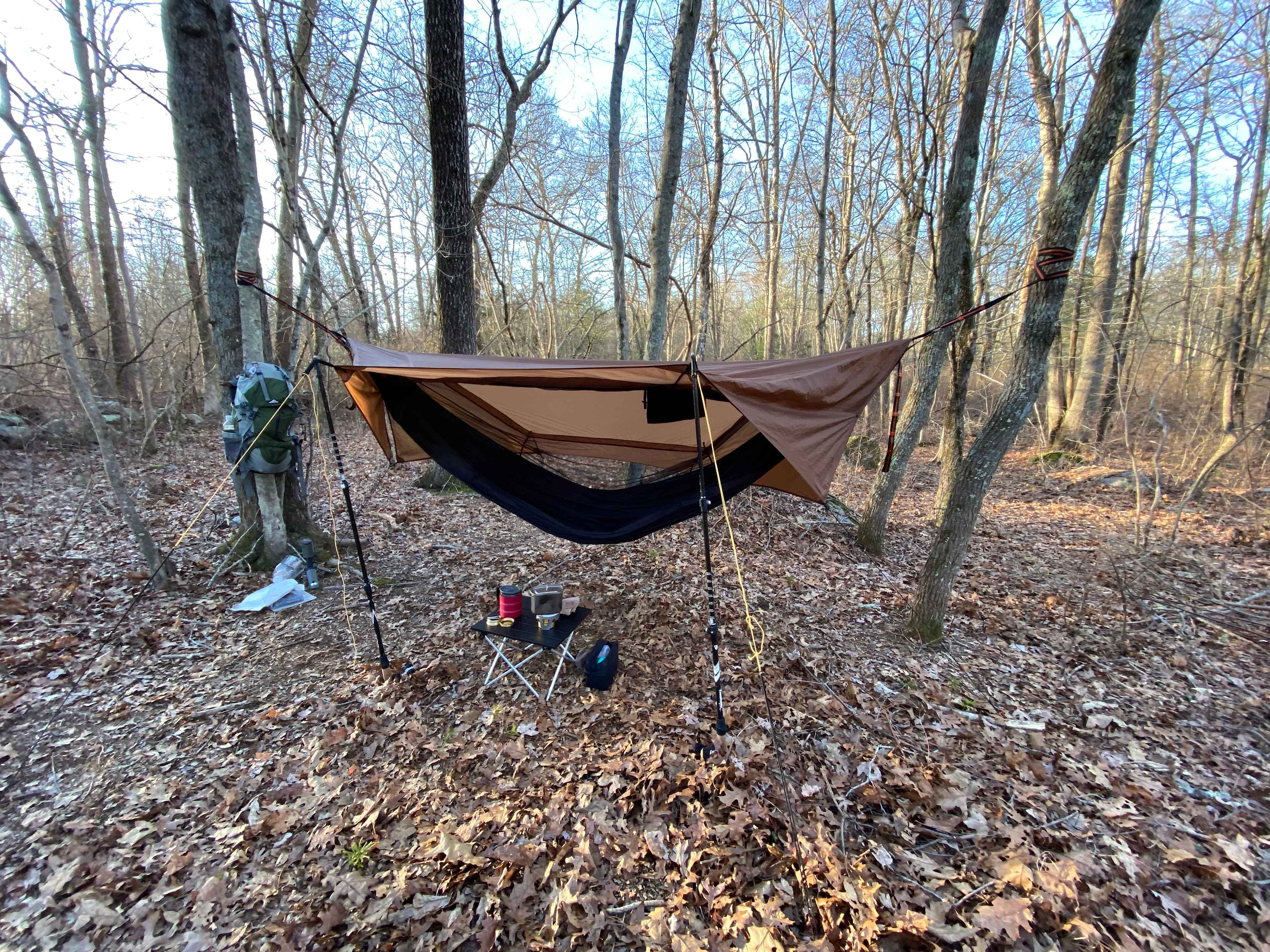 Swinging from trees doesn’t get any better