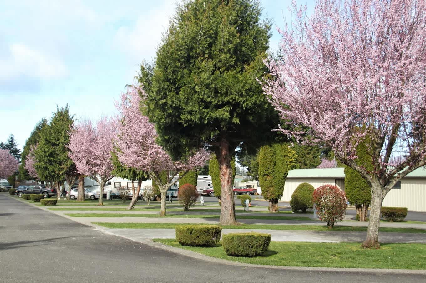 Midway RV Park