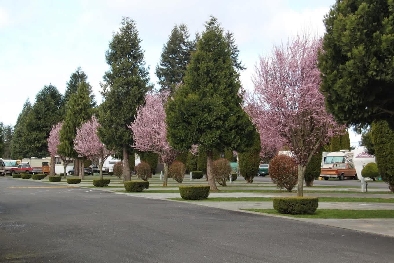 Midway RV Park