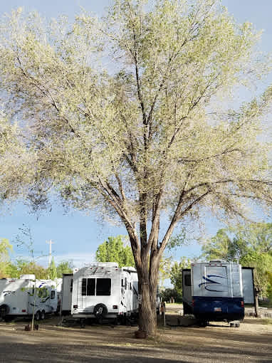 Blue Cut RV Park