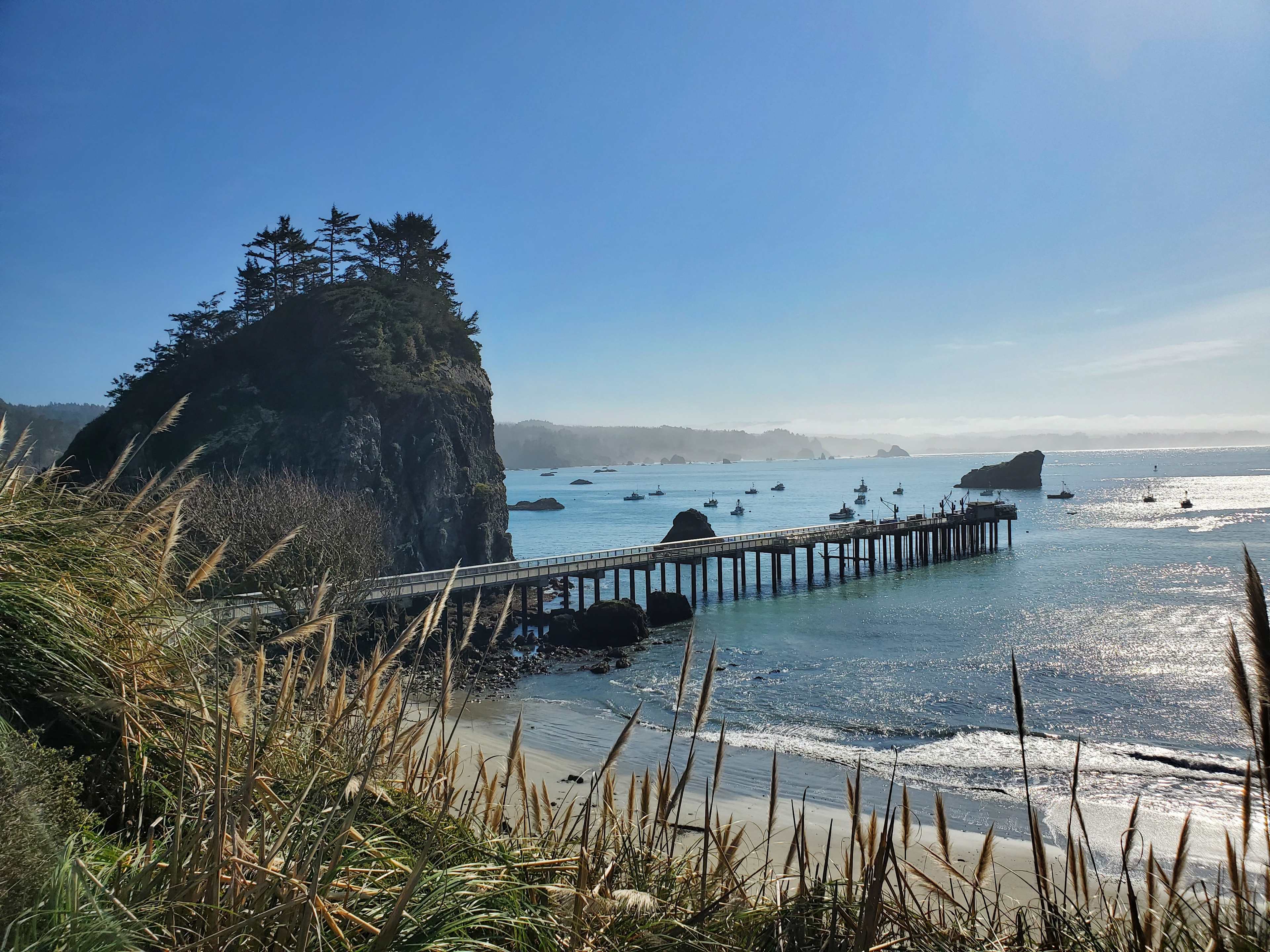Redwood Coast Cabins & RV Resort