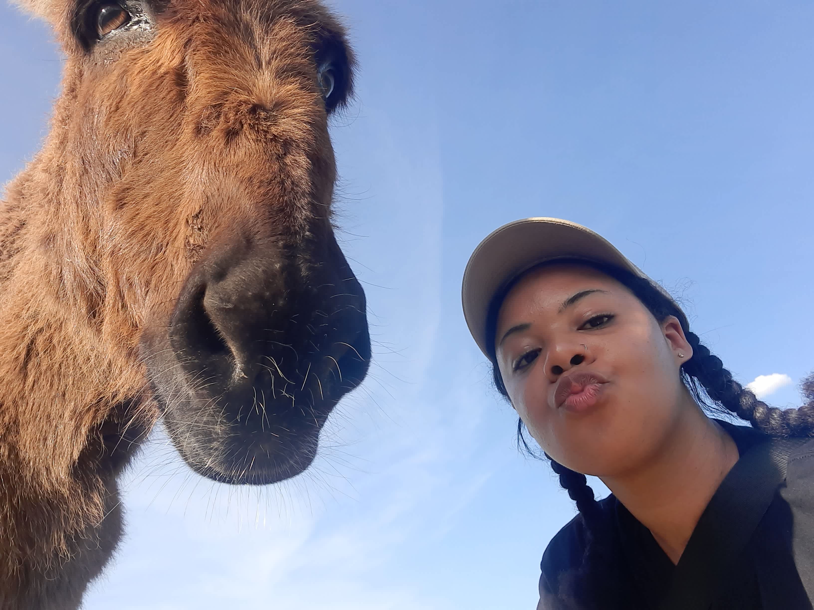 Curro the Burro!