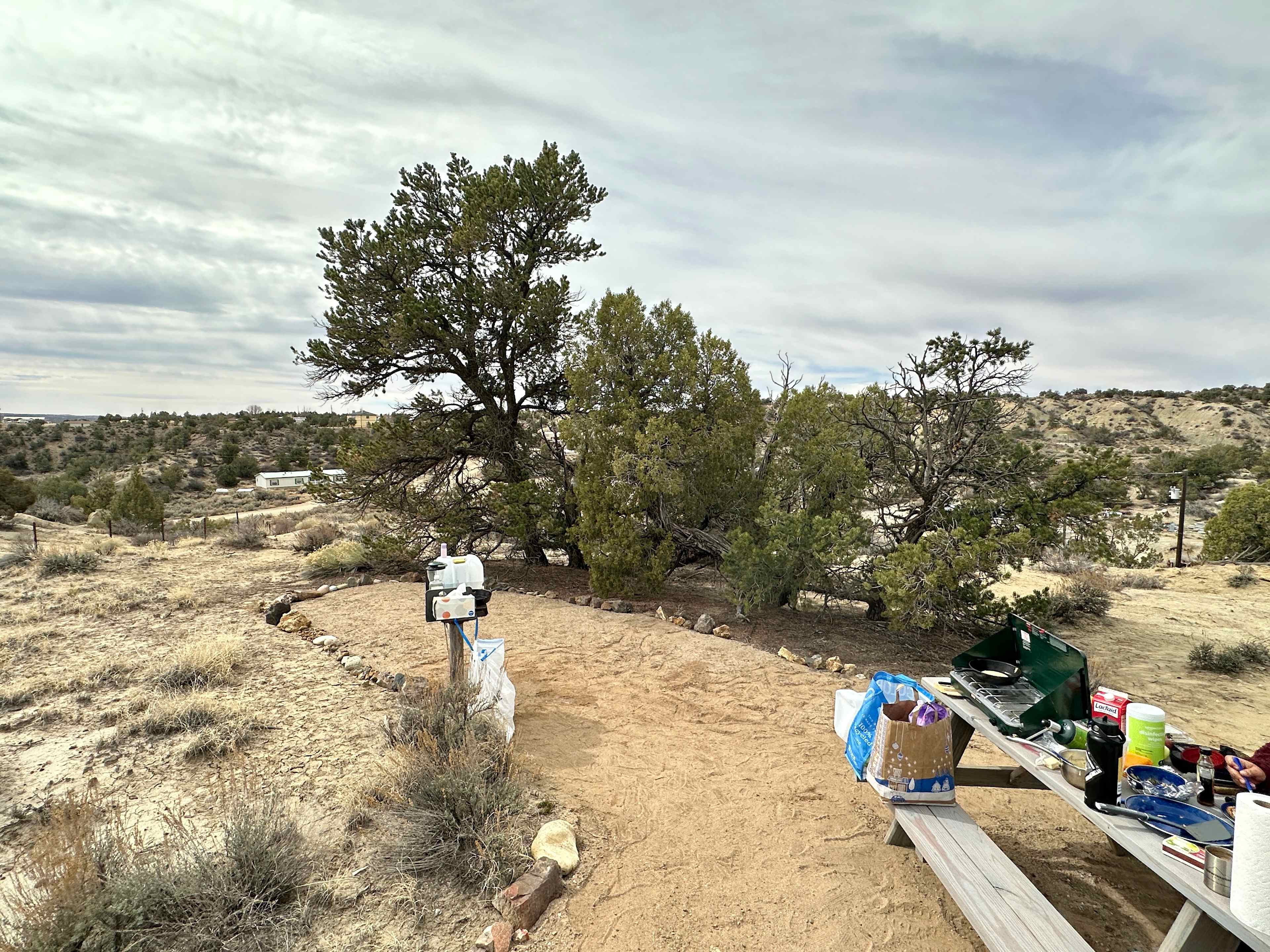 Picture of the site