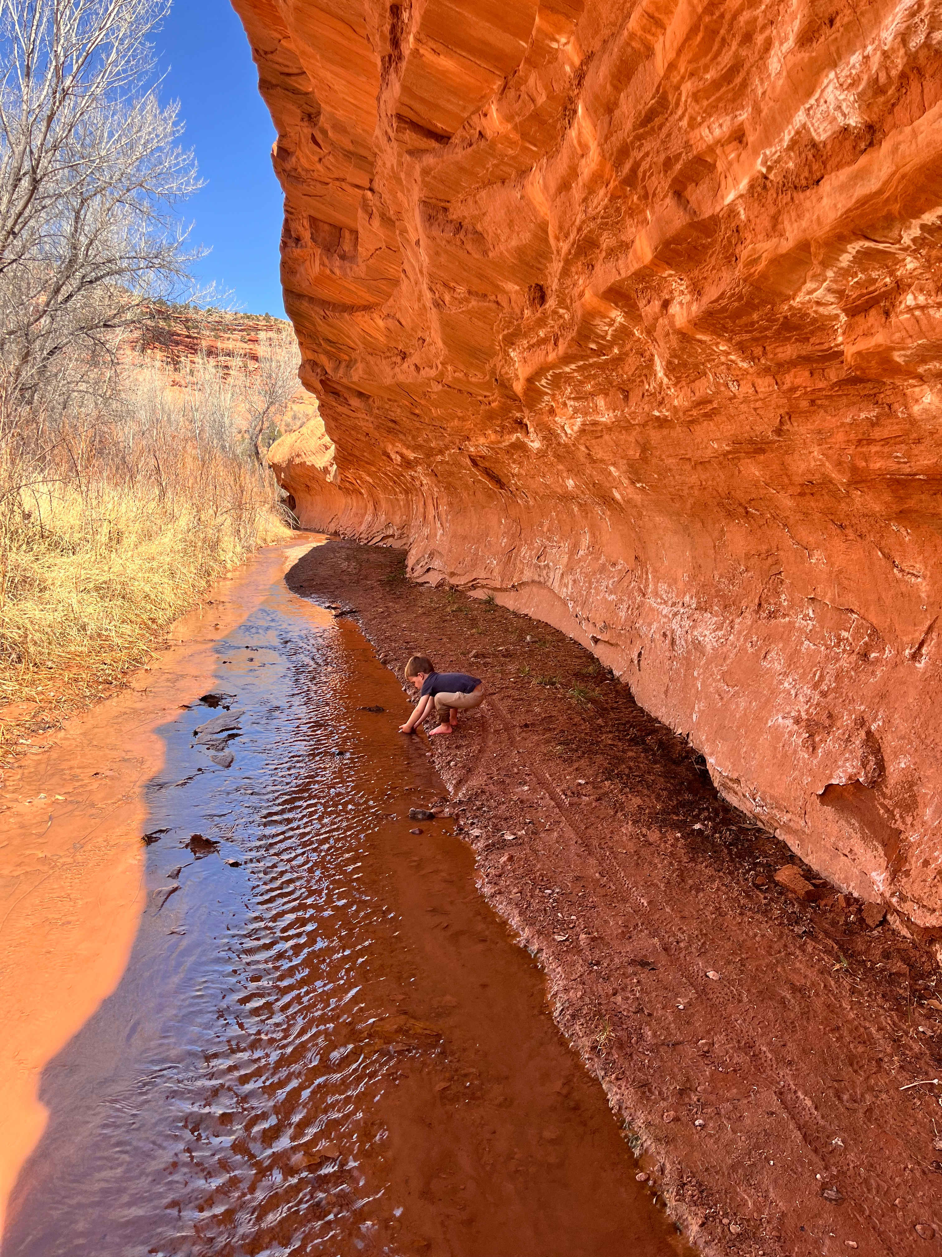 Casitas at Capitol Reef