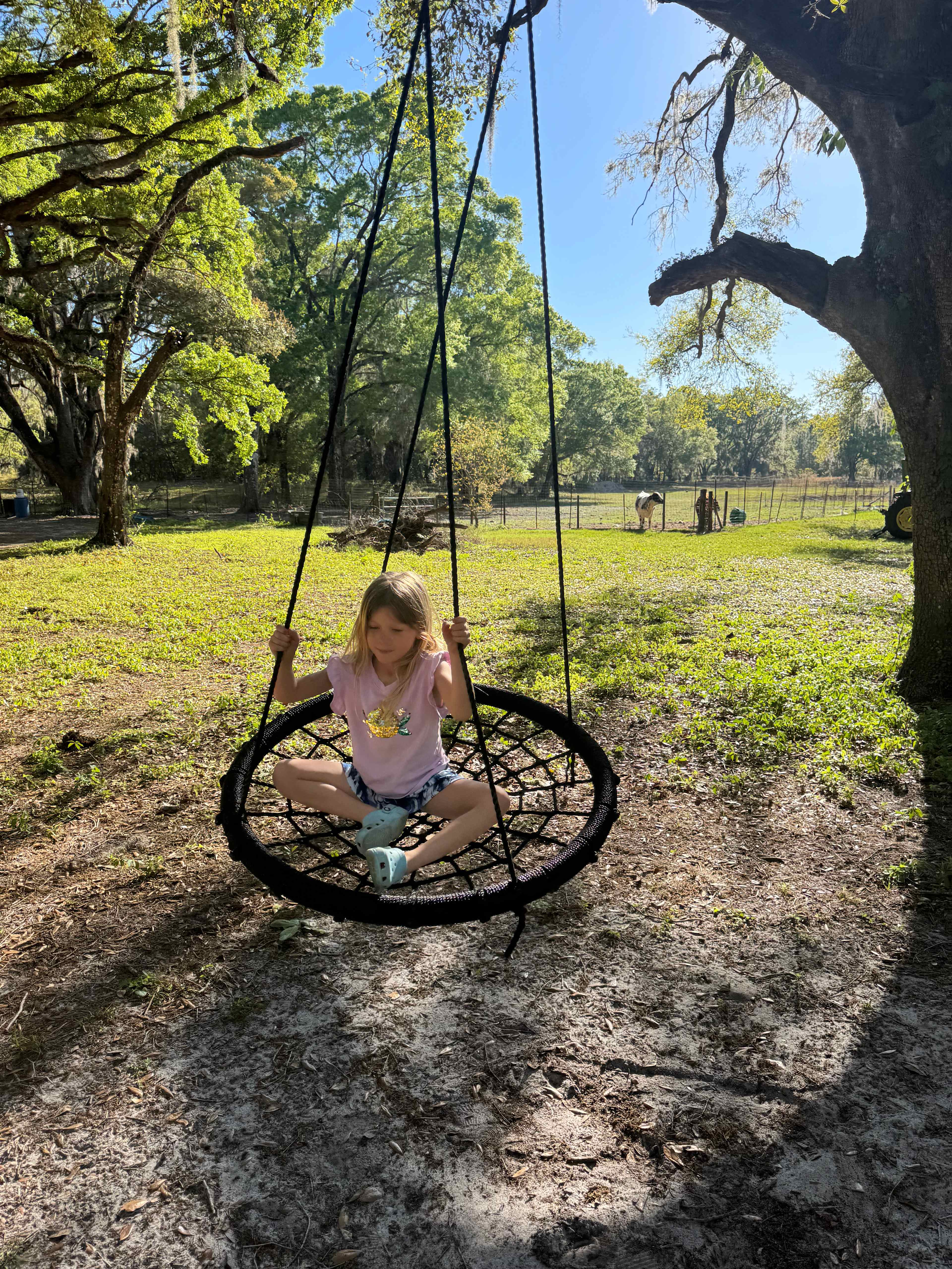 Grazing Oaks Ranch RV and Horse Stables