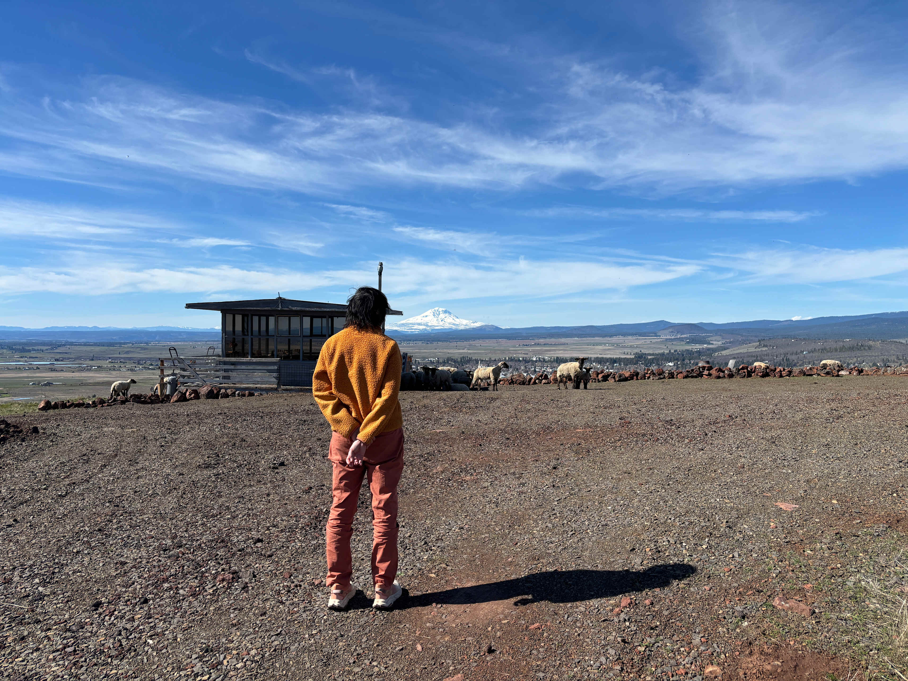 Lefever Holbrook Ranch
