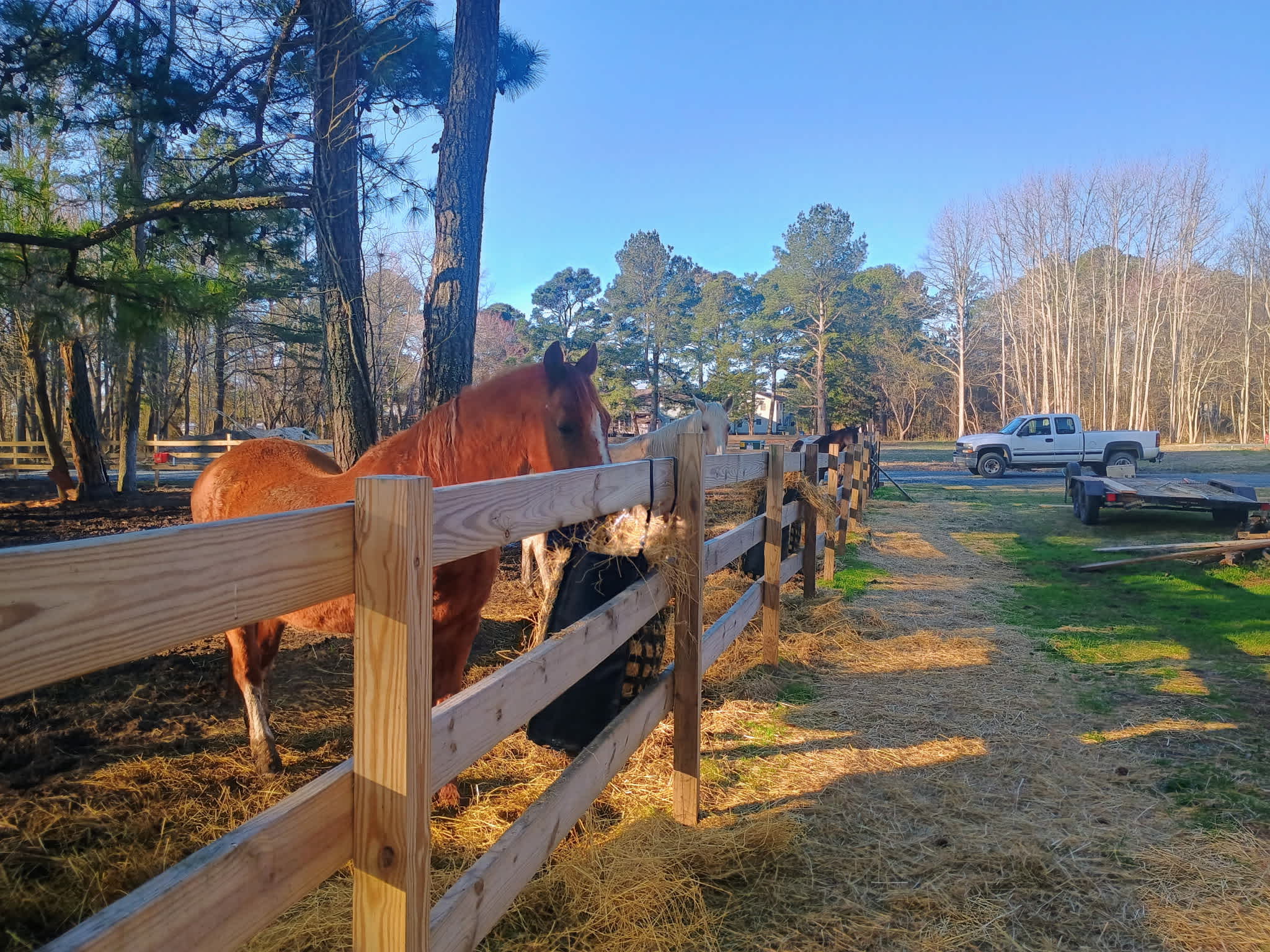 Eel Creek