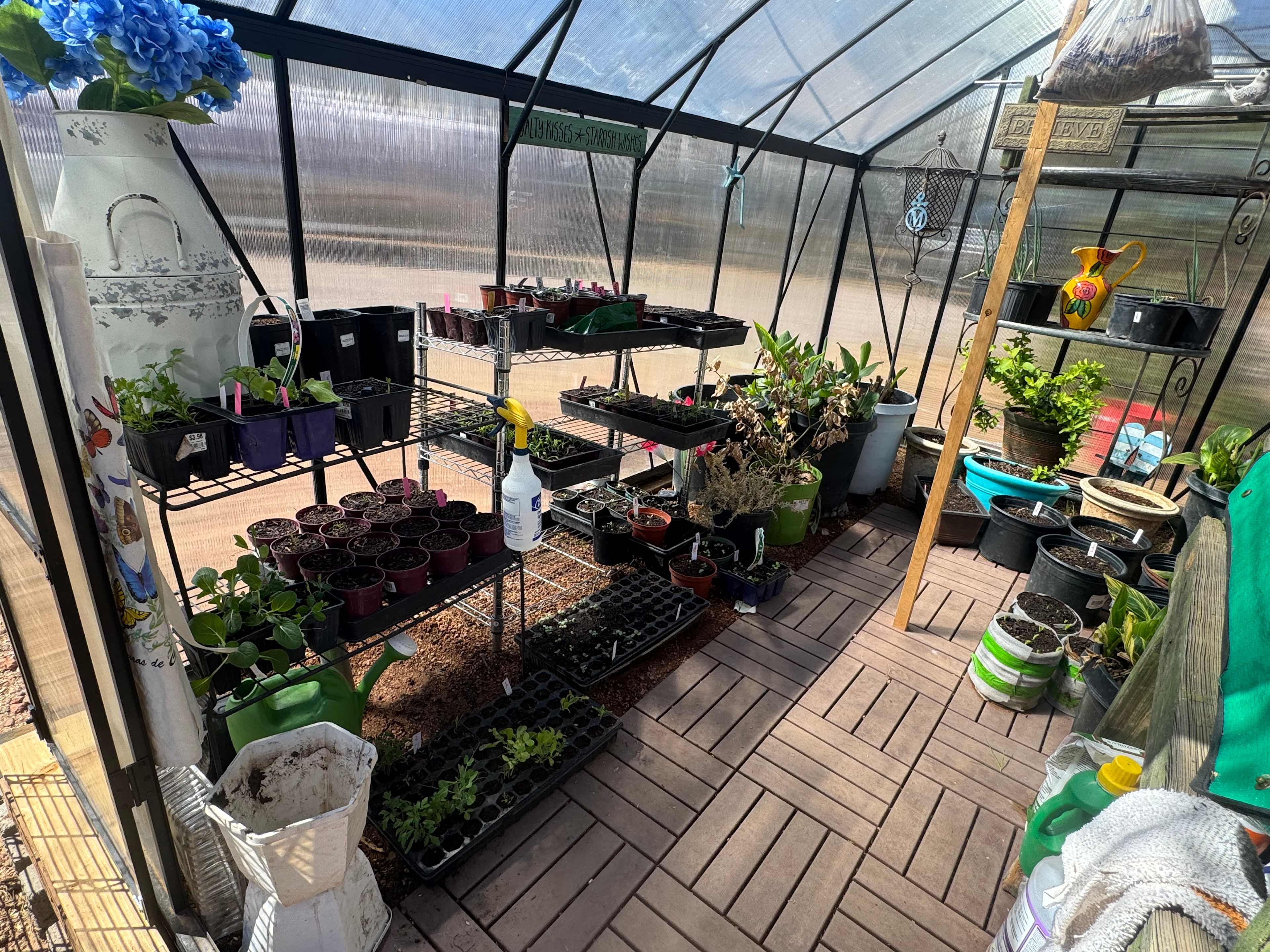 Cactus Flats Oasis