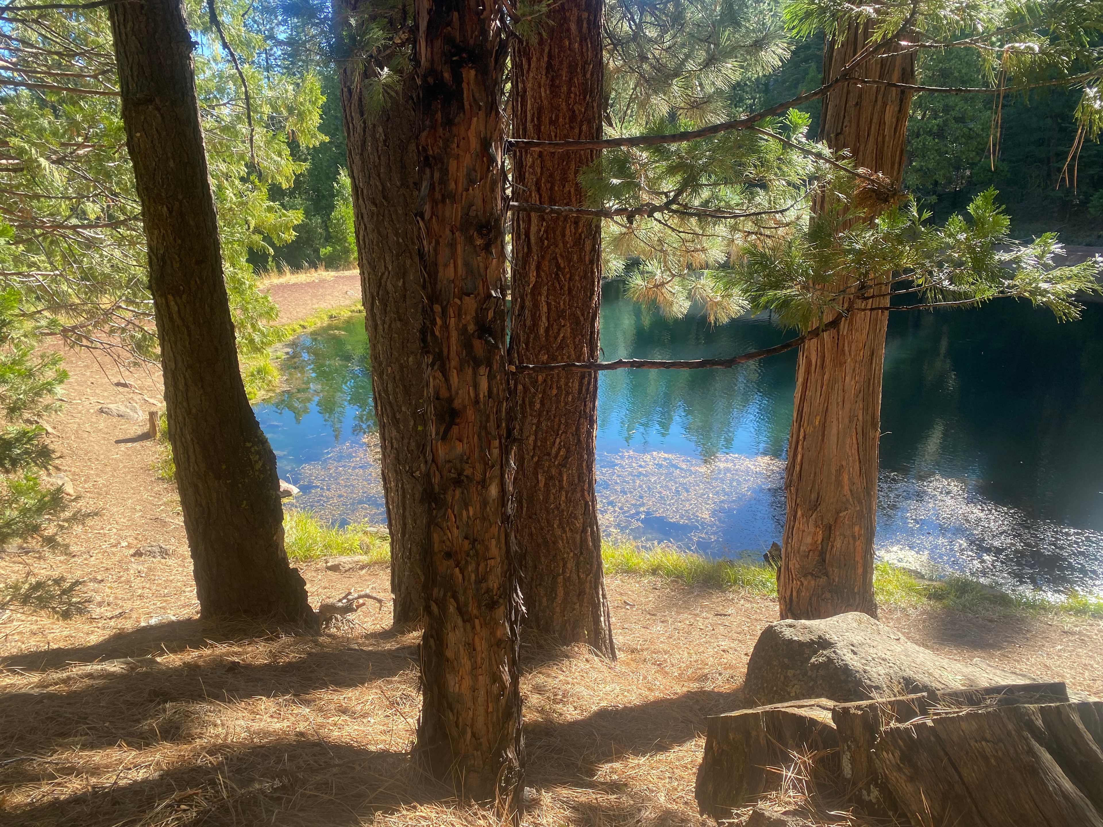 Rainbow Pond ! Stocked with Rainbow Trout - only 7 minutes from campsite via Google Maps! 