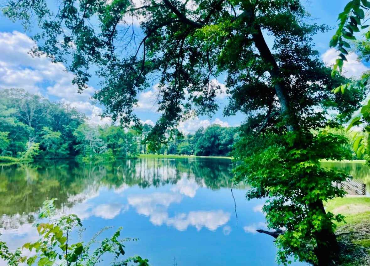 Askew's Landing RV Campground