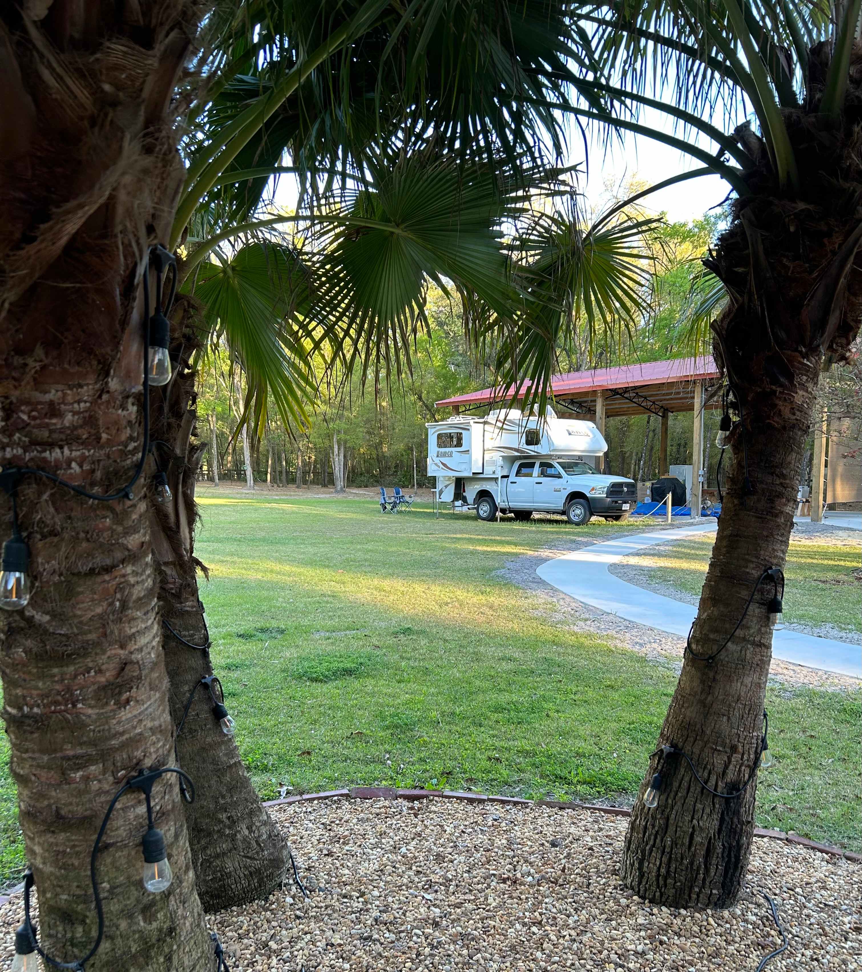 This is a view of a camper parked in the Suwannee Site as seen from our back door. The interior walls of our barn are still under construction as of summer 2025.
The 50 or 30 AMP electric hook-up, water hook-up, and sewer hook-up are all located on the other side of this camper right next to our barn. You might be able to tell that you will need to drive over the sidewalk to get to the Suwannee Site. That is the reason that we have to limit the size of campers that stay in the Suwannee Site. We don't want the weight of your camper to crack our sidewalk. Once you unhook your tow vehicel, we ask that you park it without driving over the sidewalk unnecessarily.