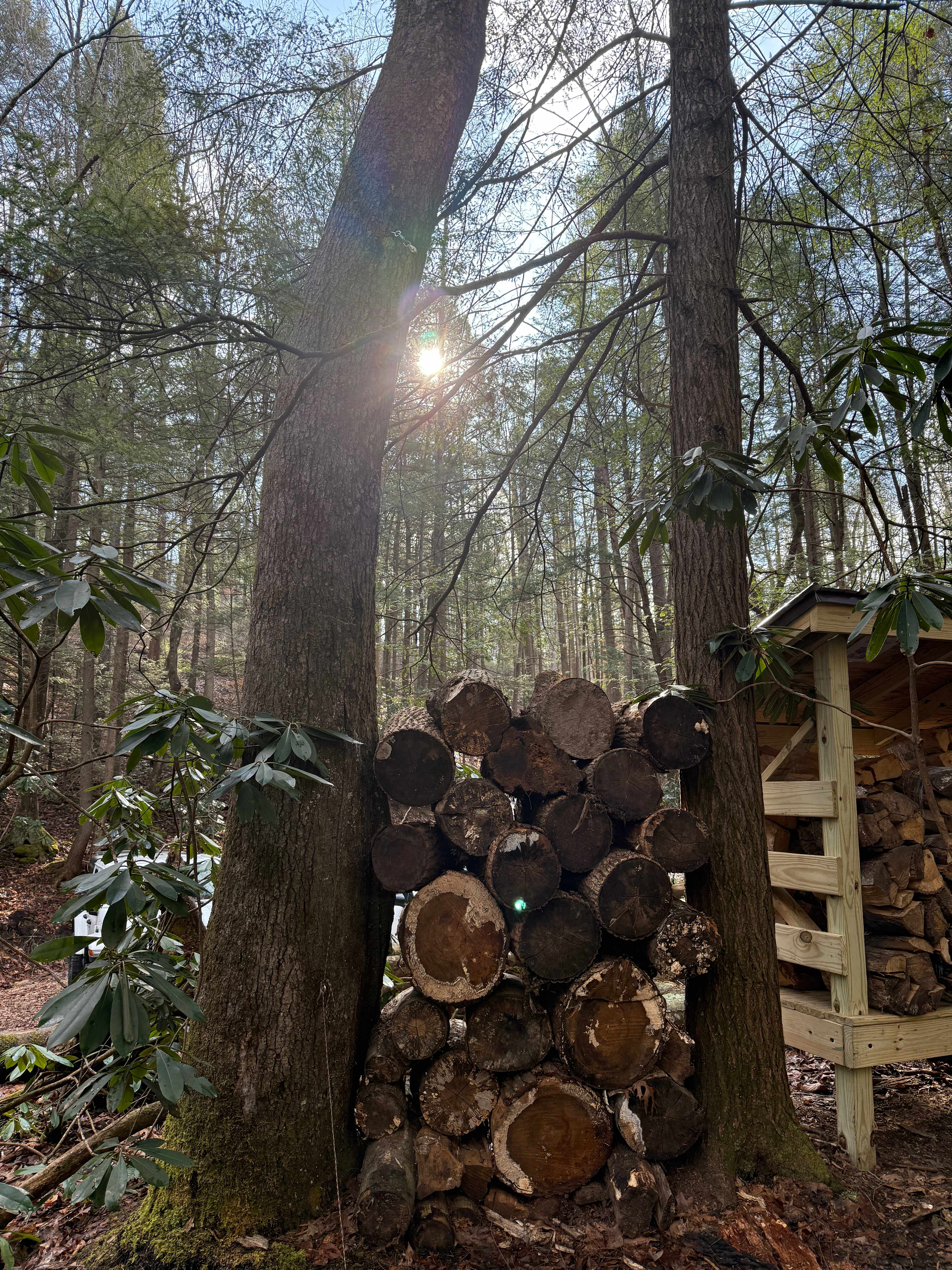 Possum Holler Camp- New River Gorge