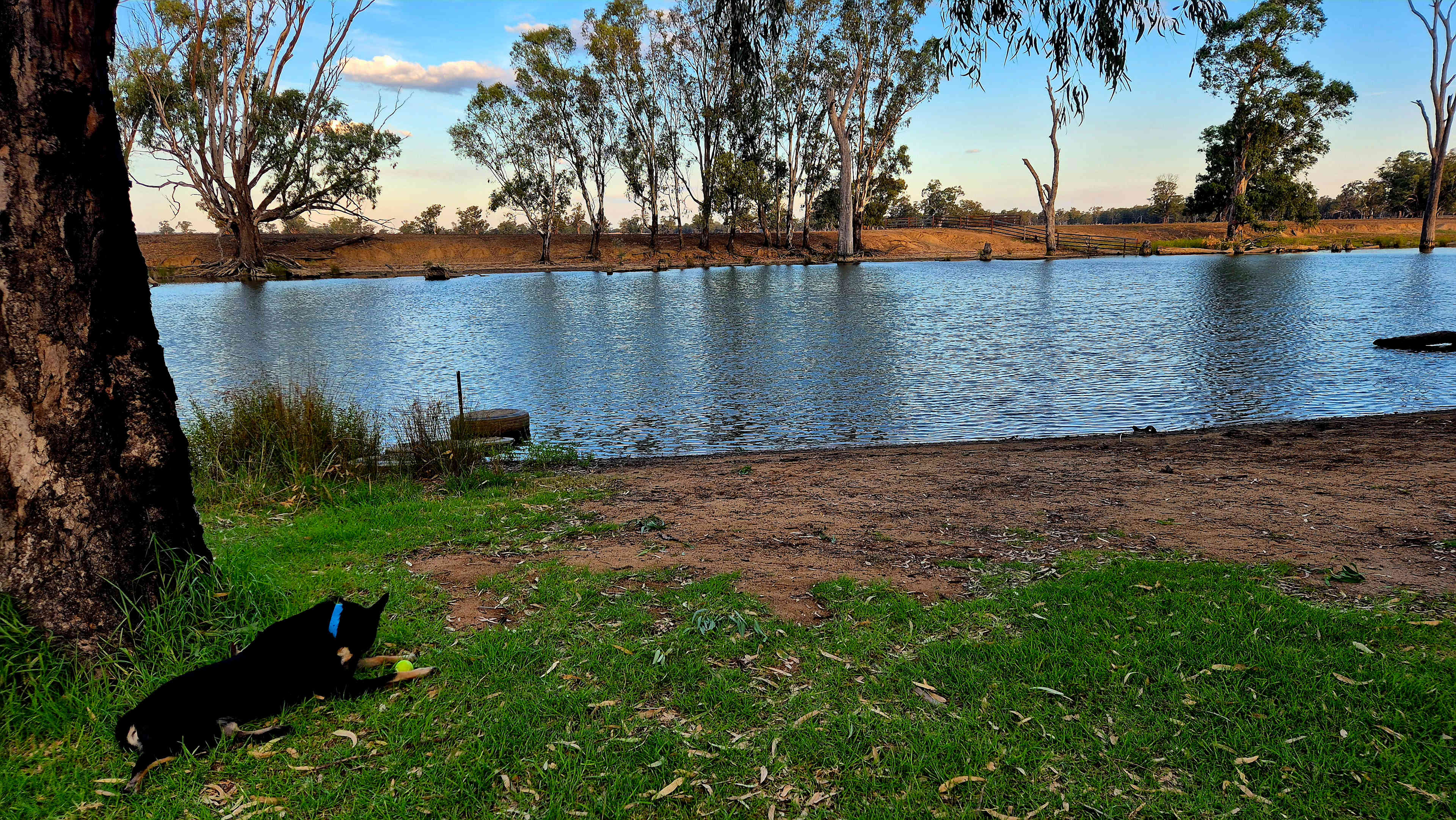 Cudgella on Bundidgerry Creek