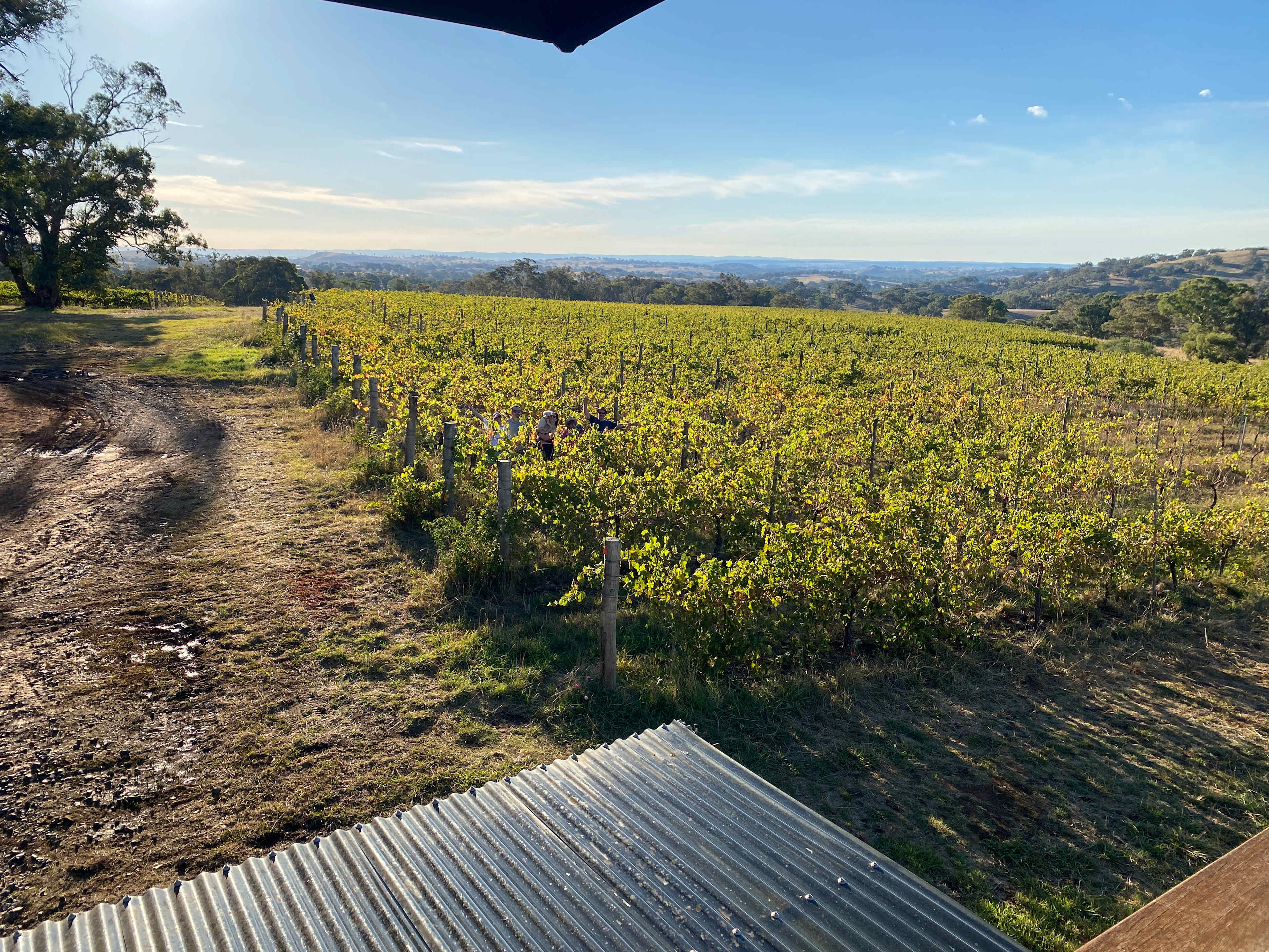 Cargo Road Wines