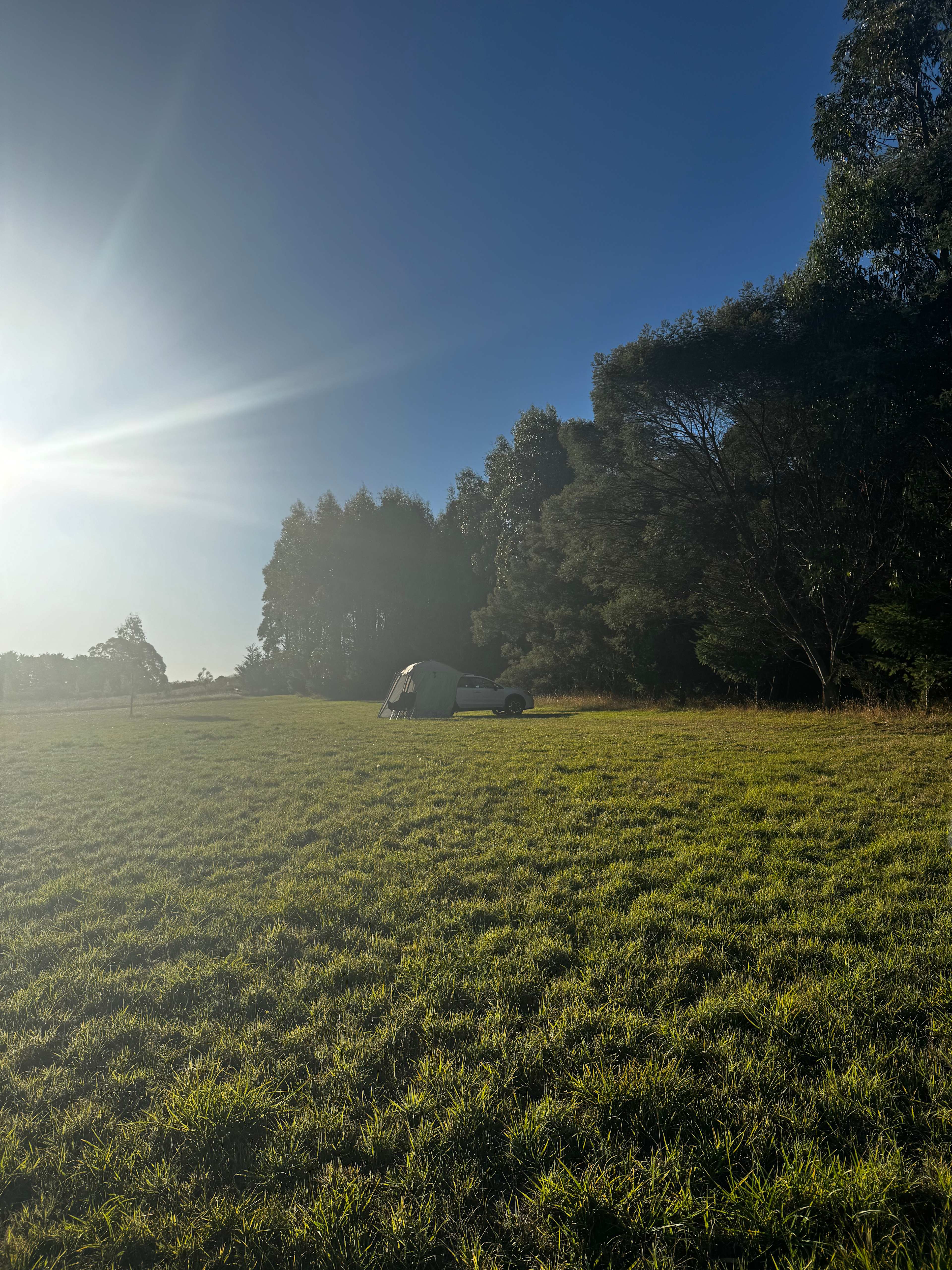 Marleen Herbs of Tasmania