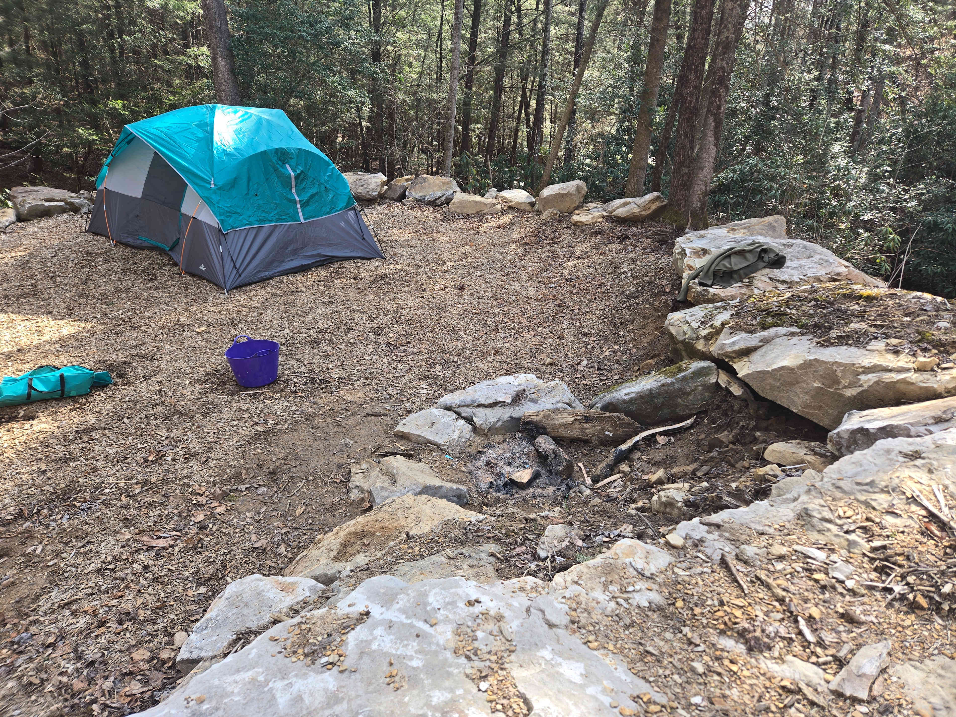 Picture of the site