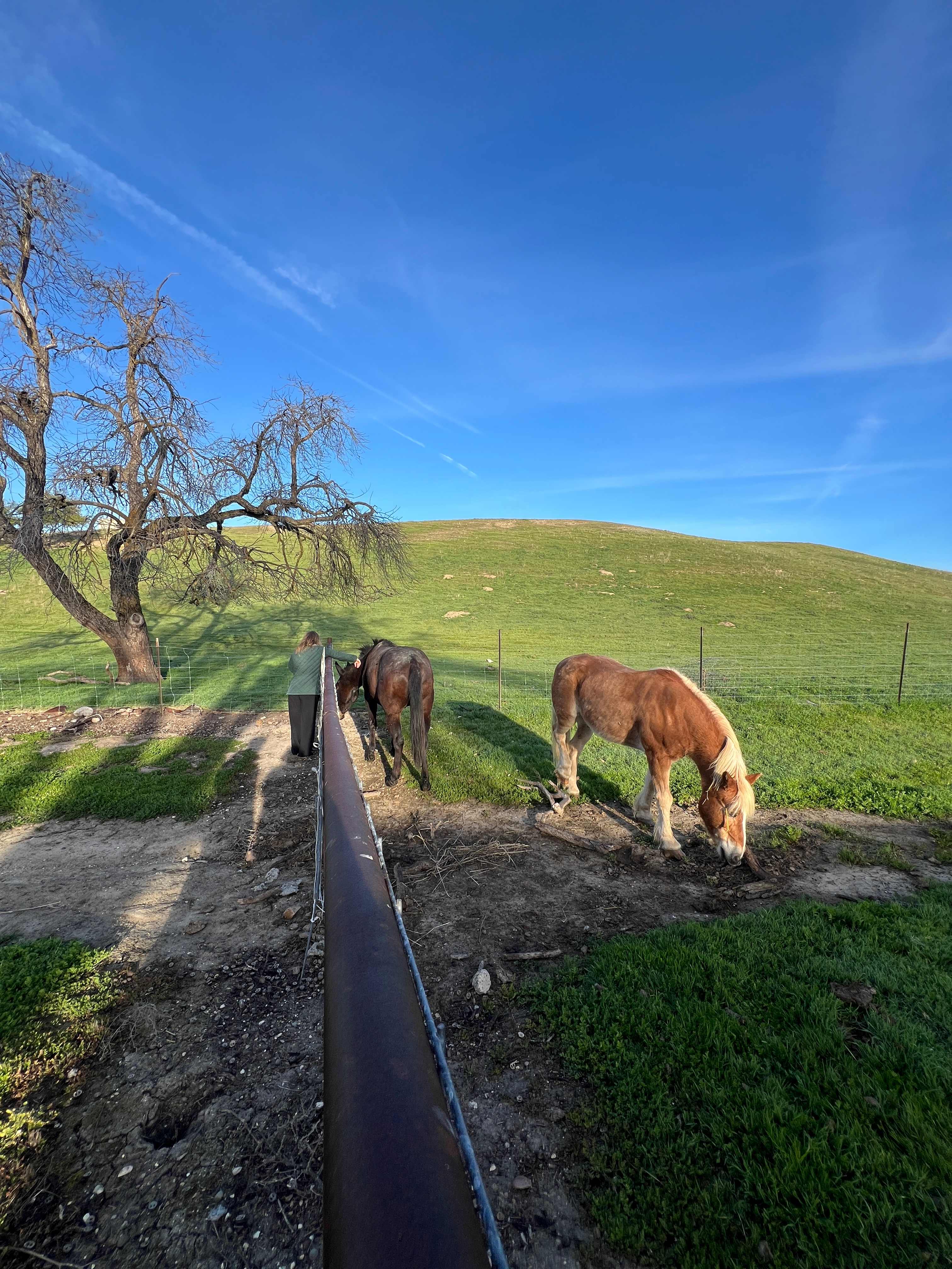 Historical Almond Springs!