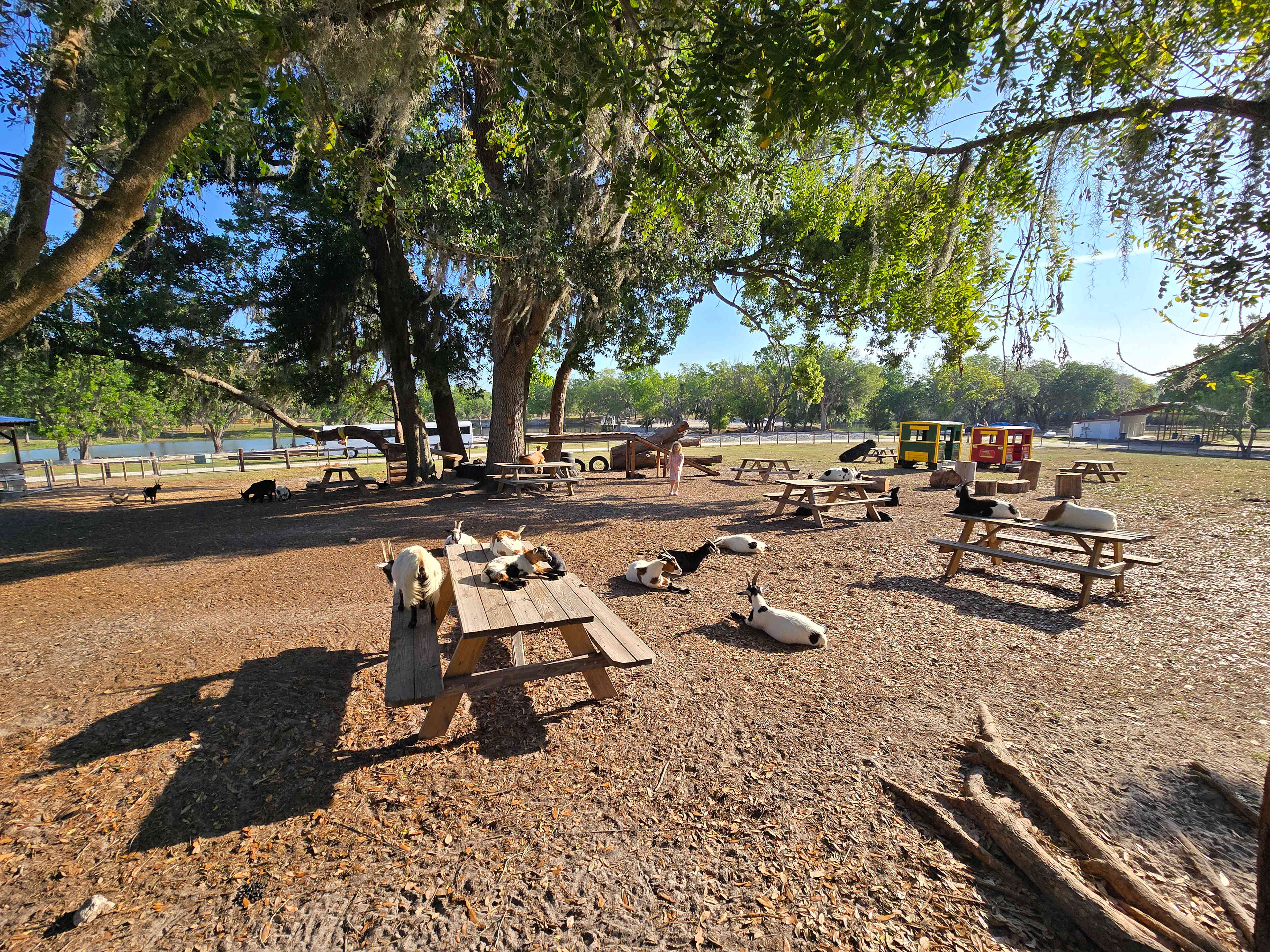 Wilderness Shores Ranch_Campground!