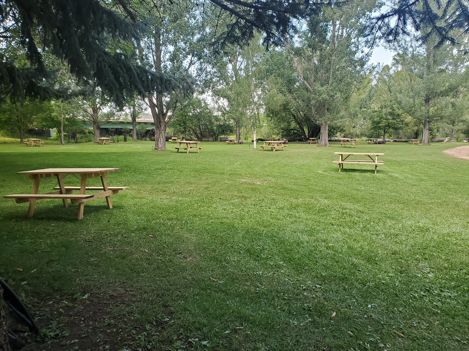 Foothills Motel and Campground