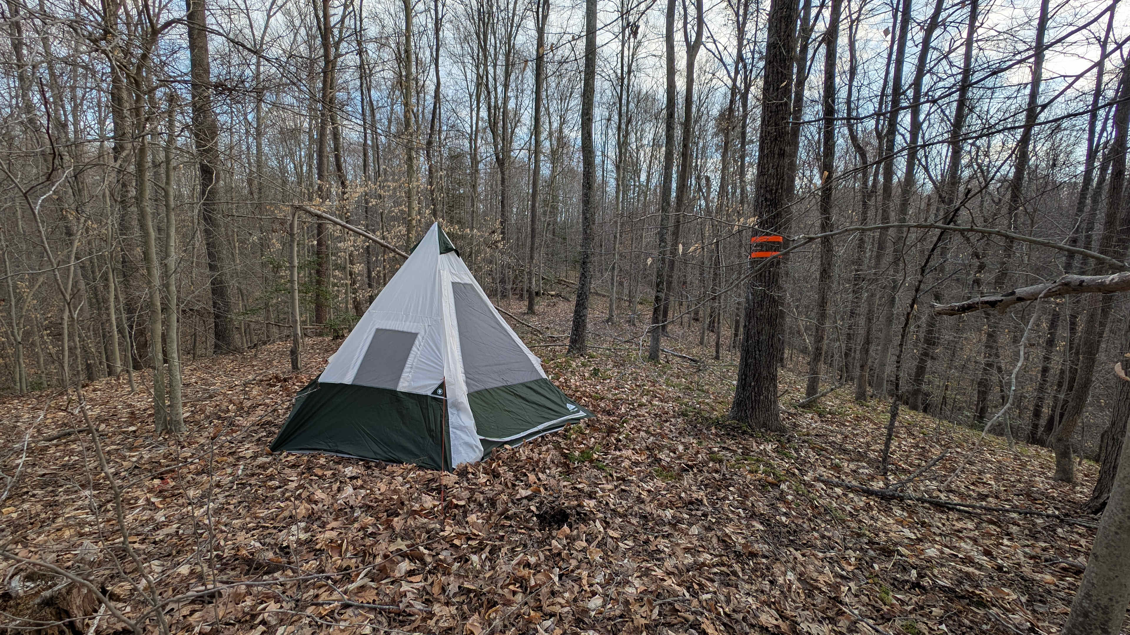 Turkey Hollow