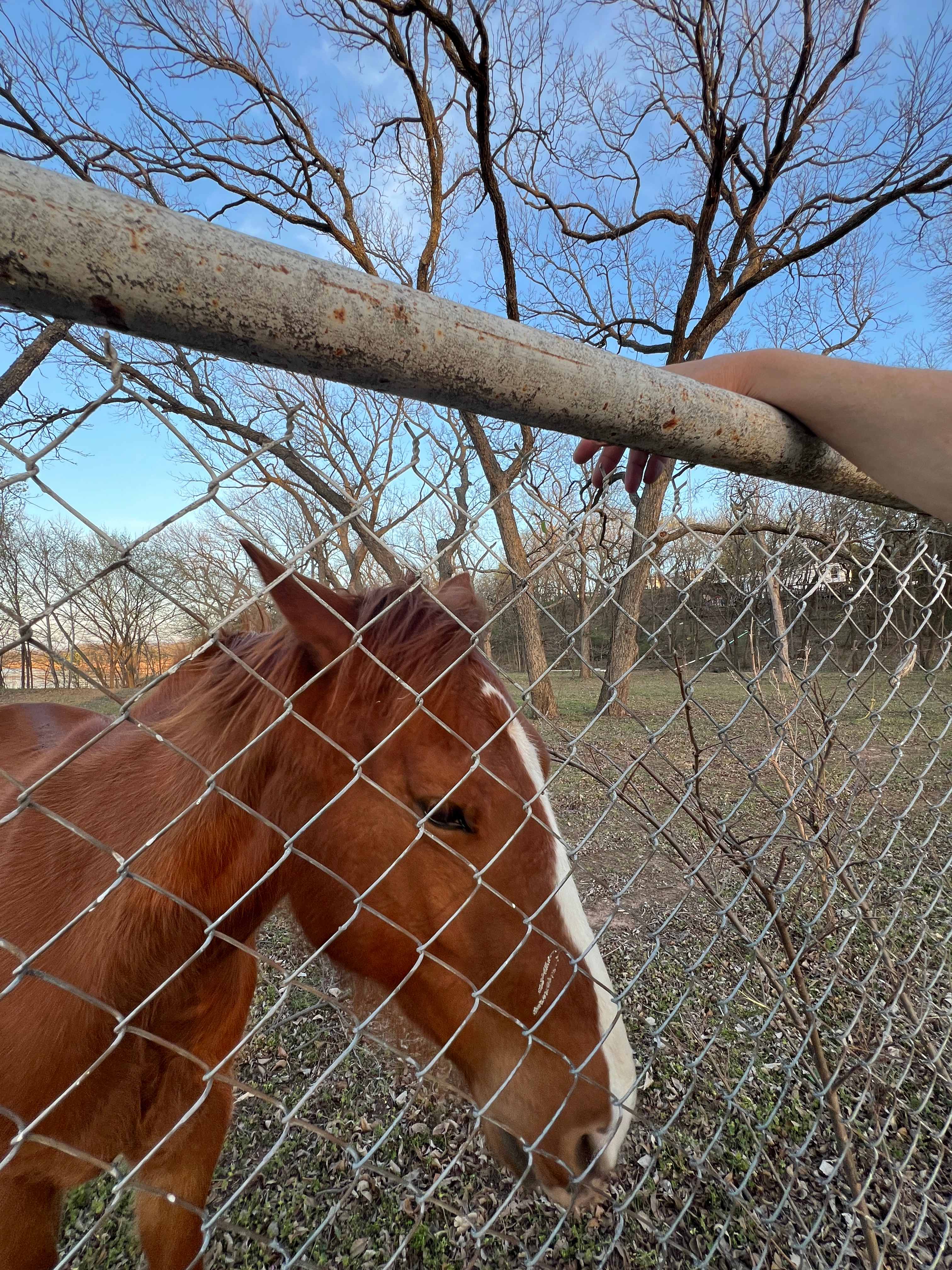 Great neighbor!