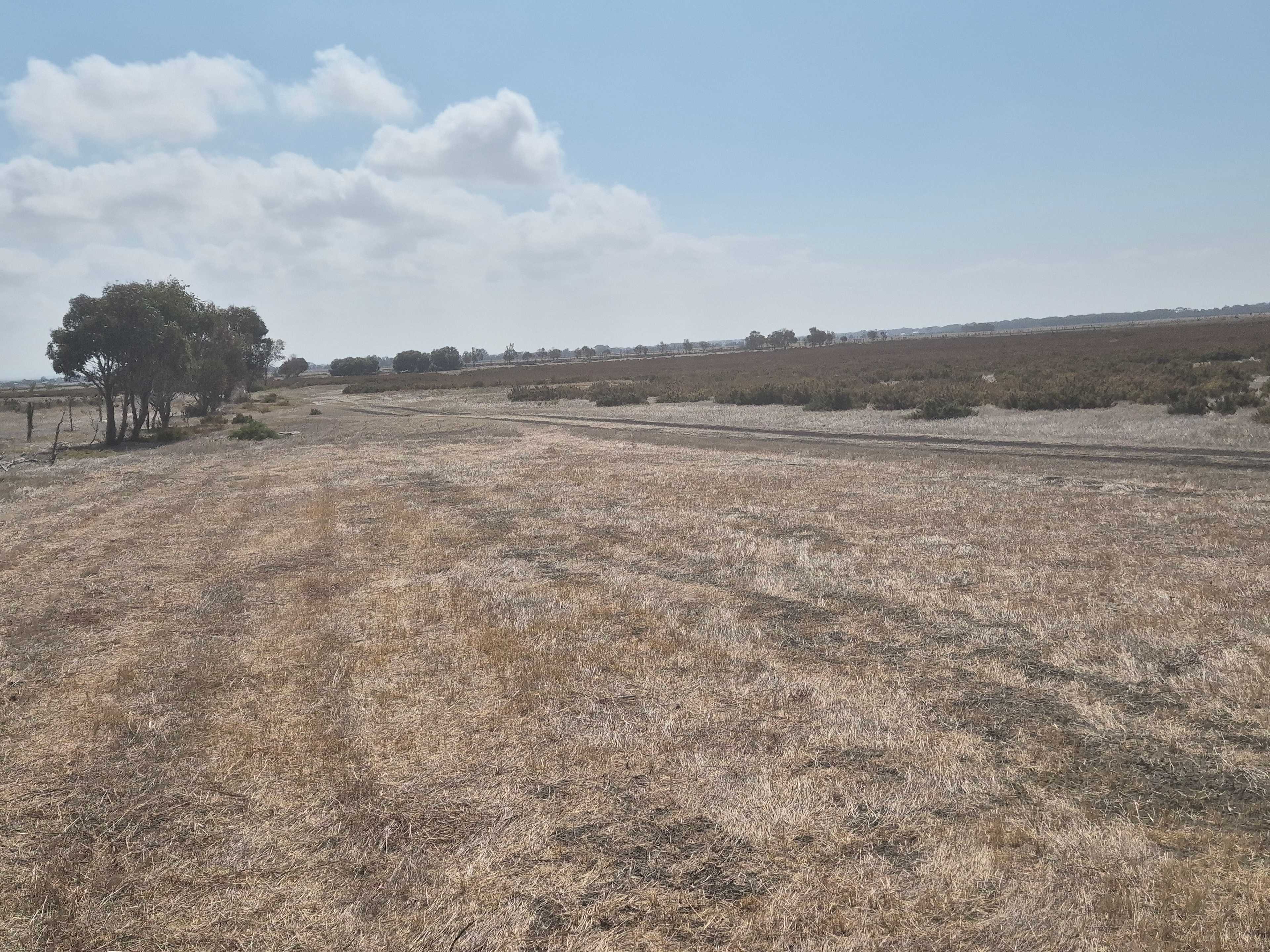 Camp-site 3 a nice big open flat plain