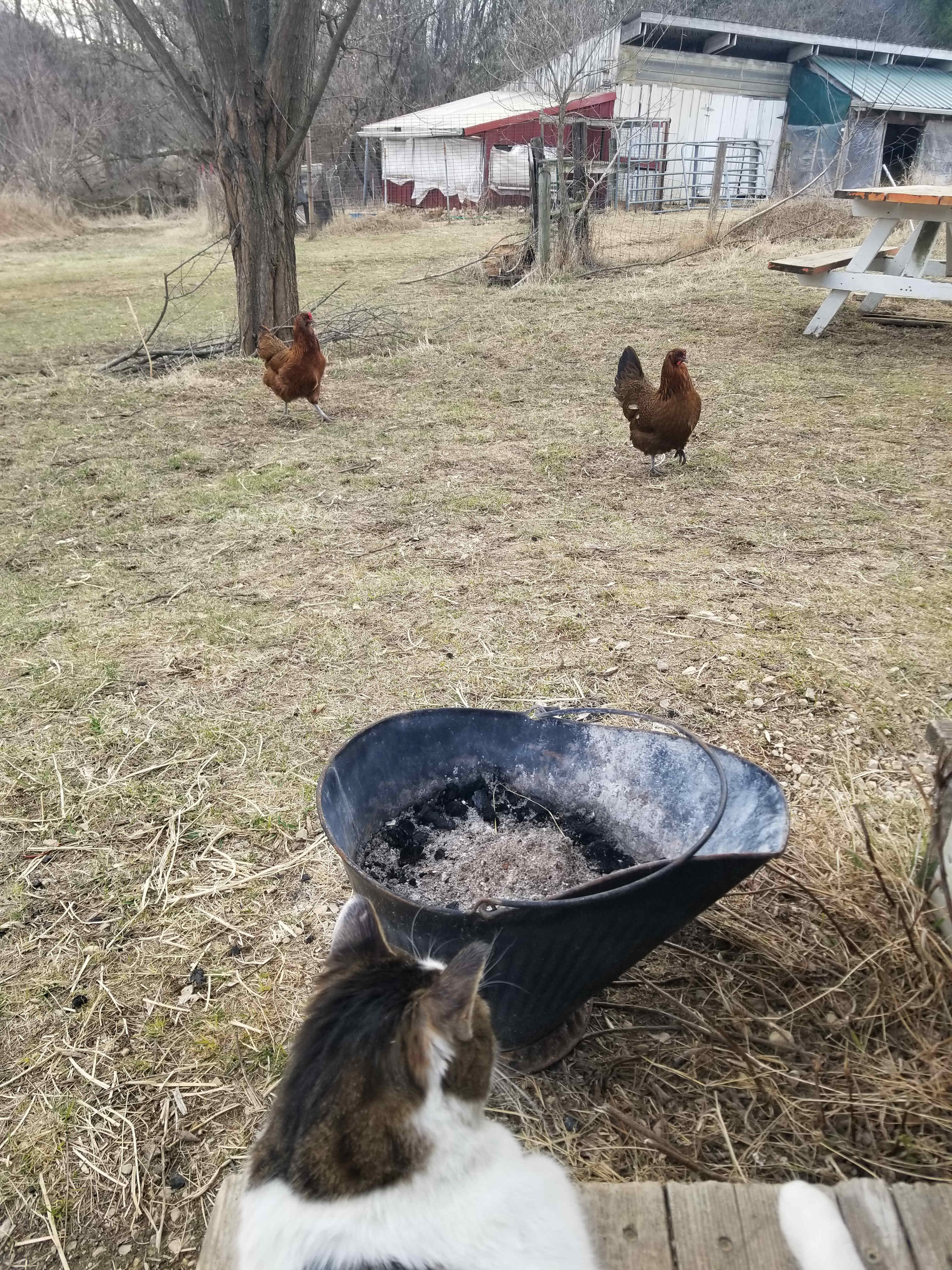 Echo Valley Farm