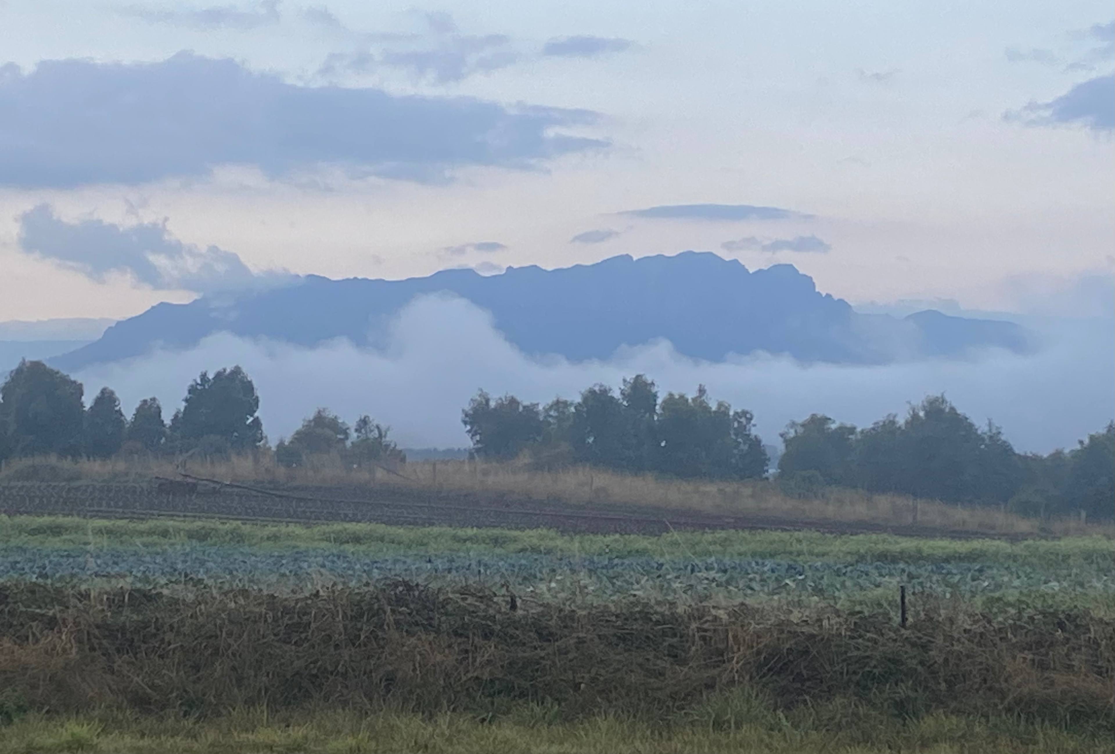 Morning view from my van