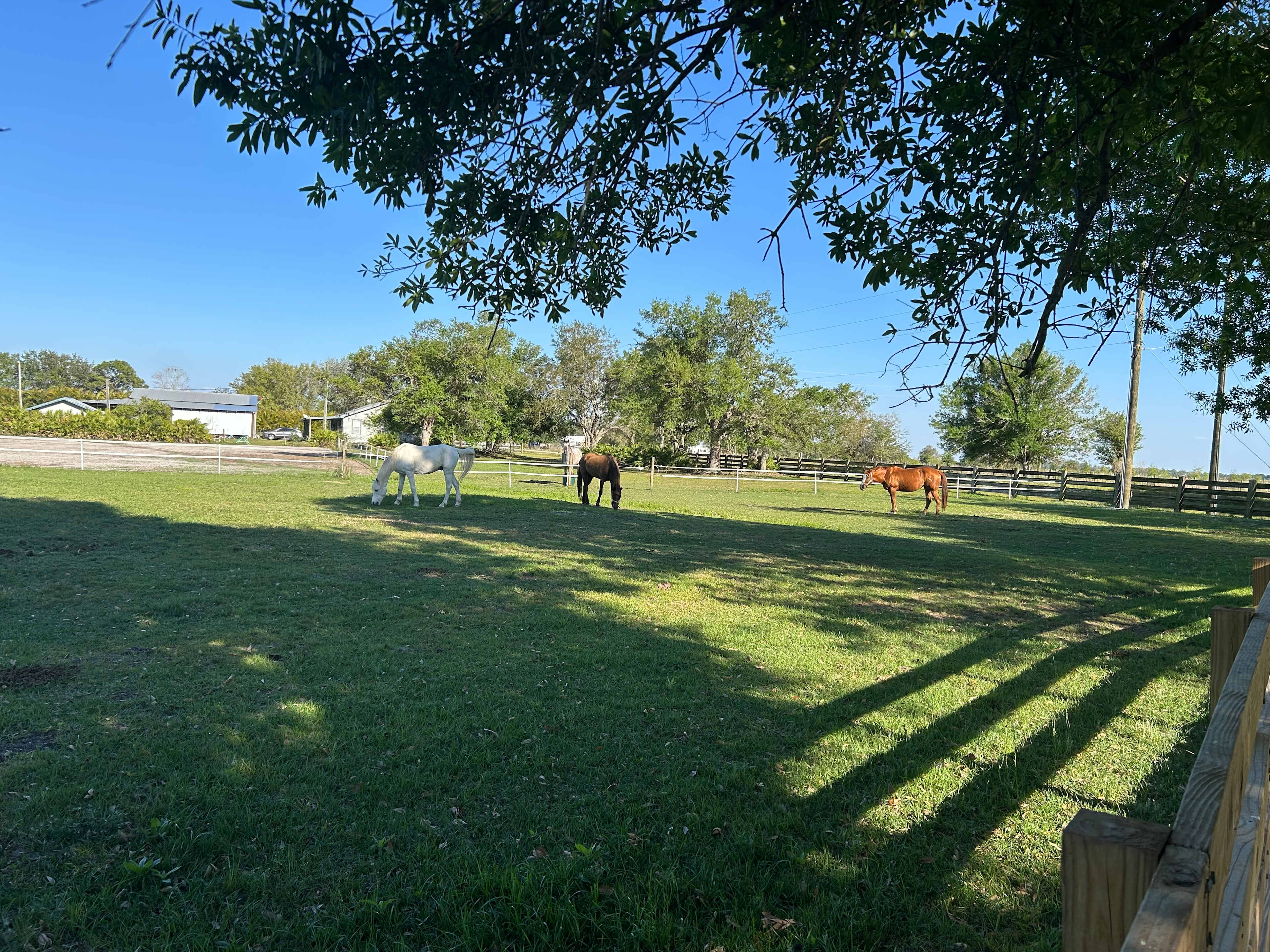 Silver Bullet Stables