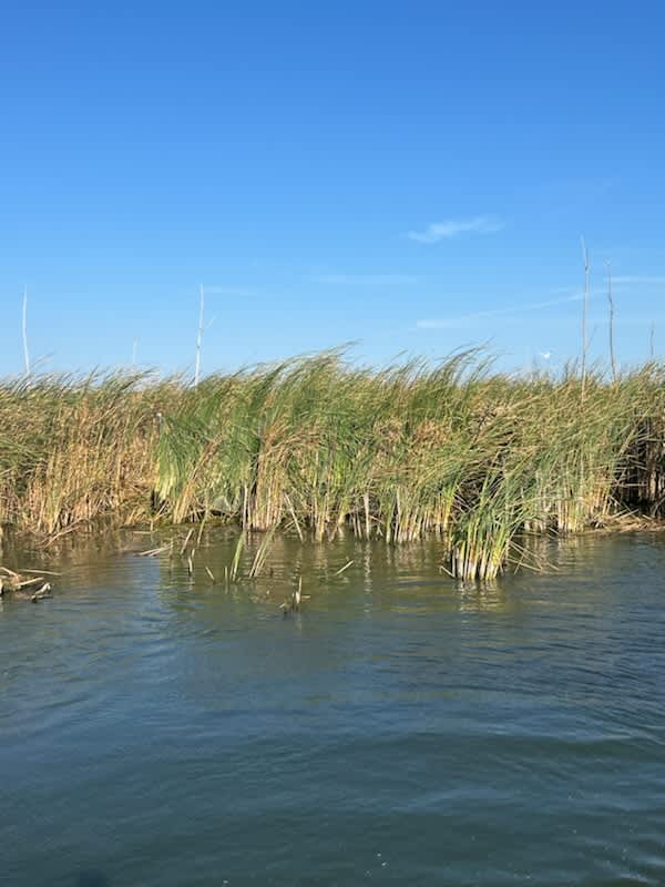 Rush Lake Outdoors
