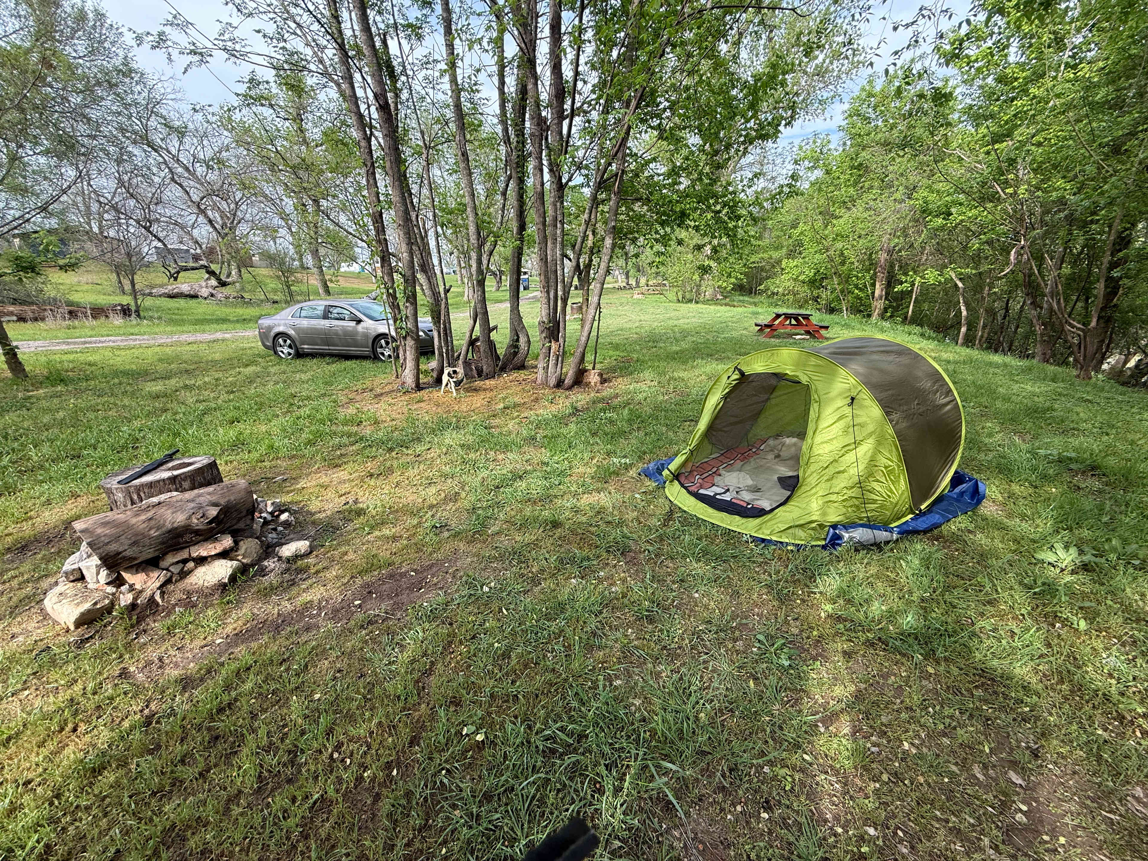 Picture of the site