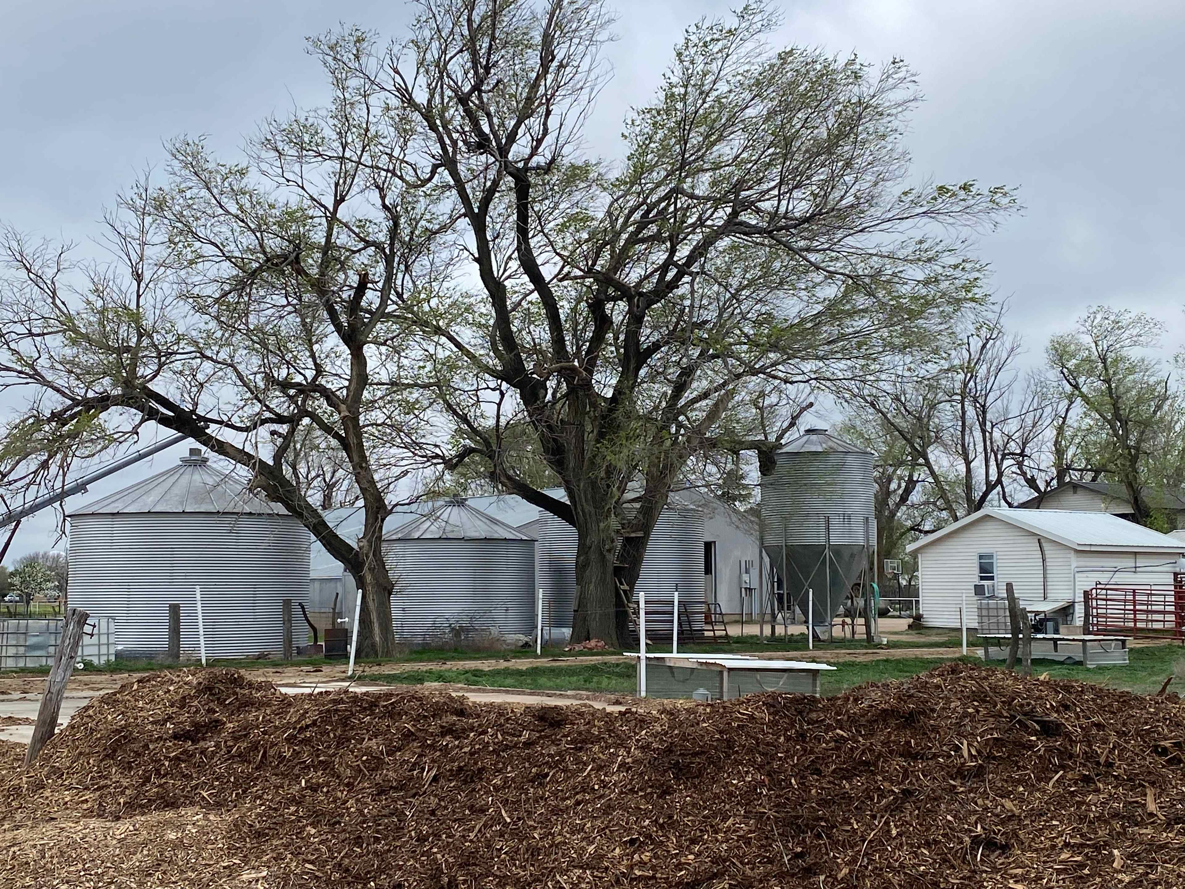 Borntrager Dairy