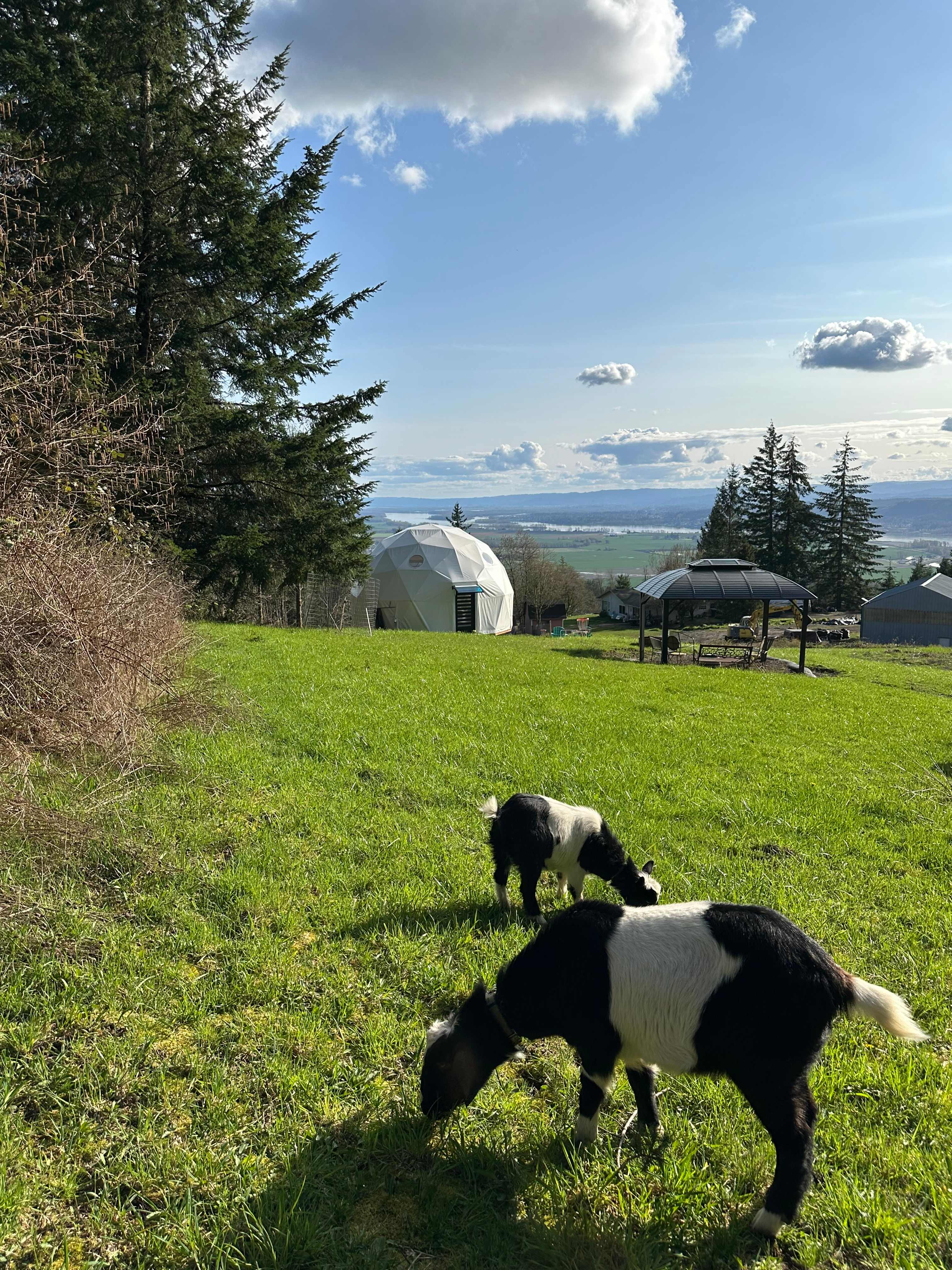 River View Dome - Goode Time Ranch