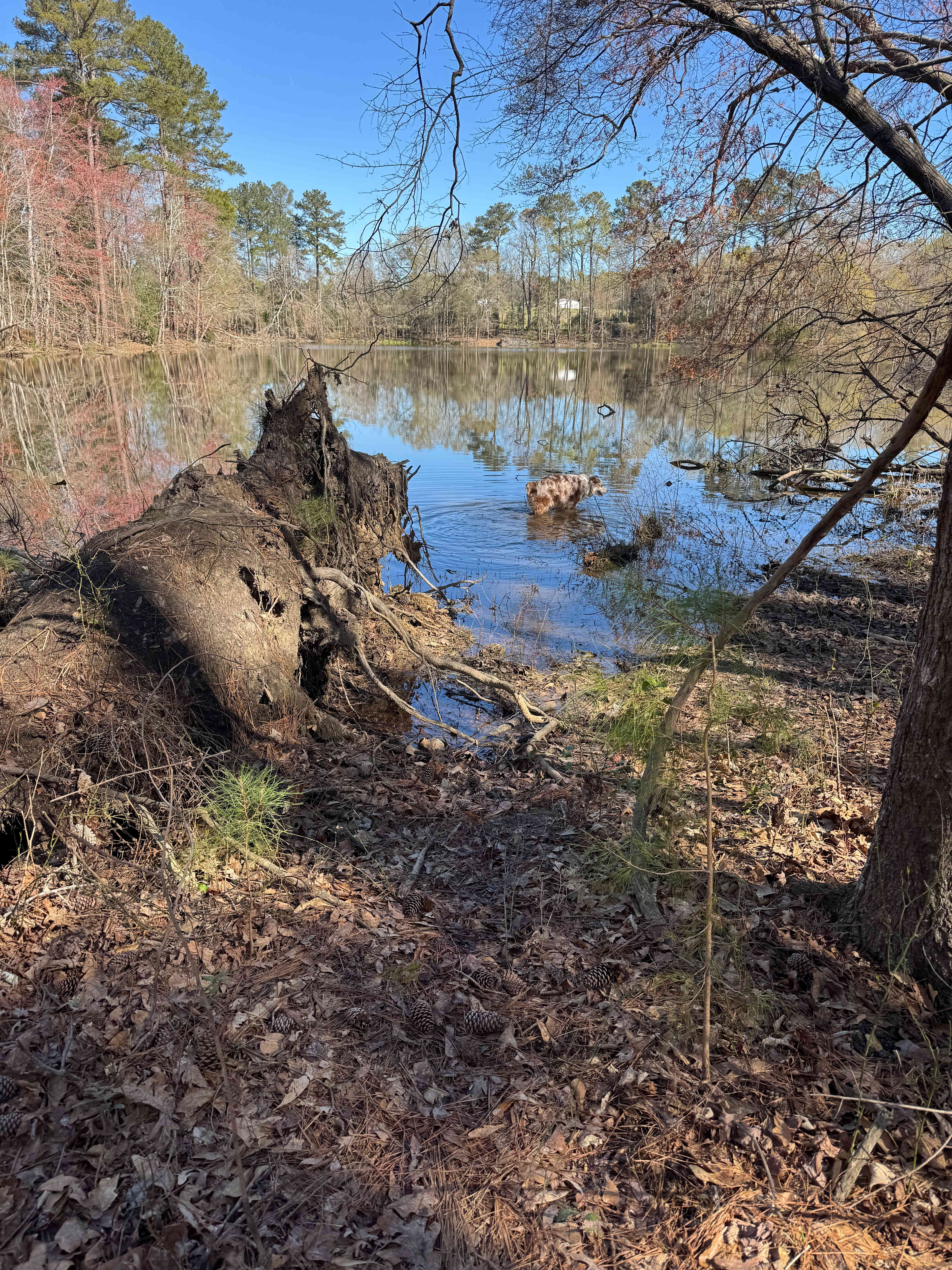 Prices Bridge Inn & Campgrounds