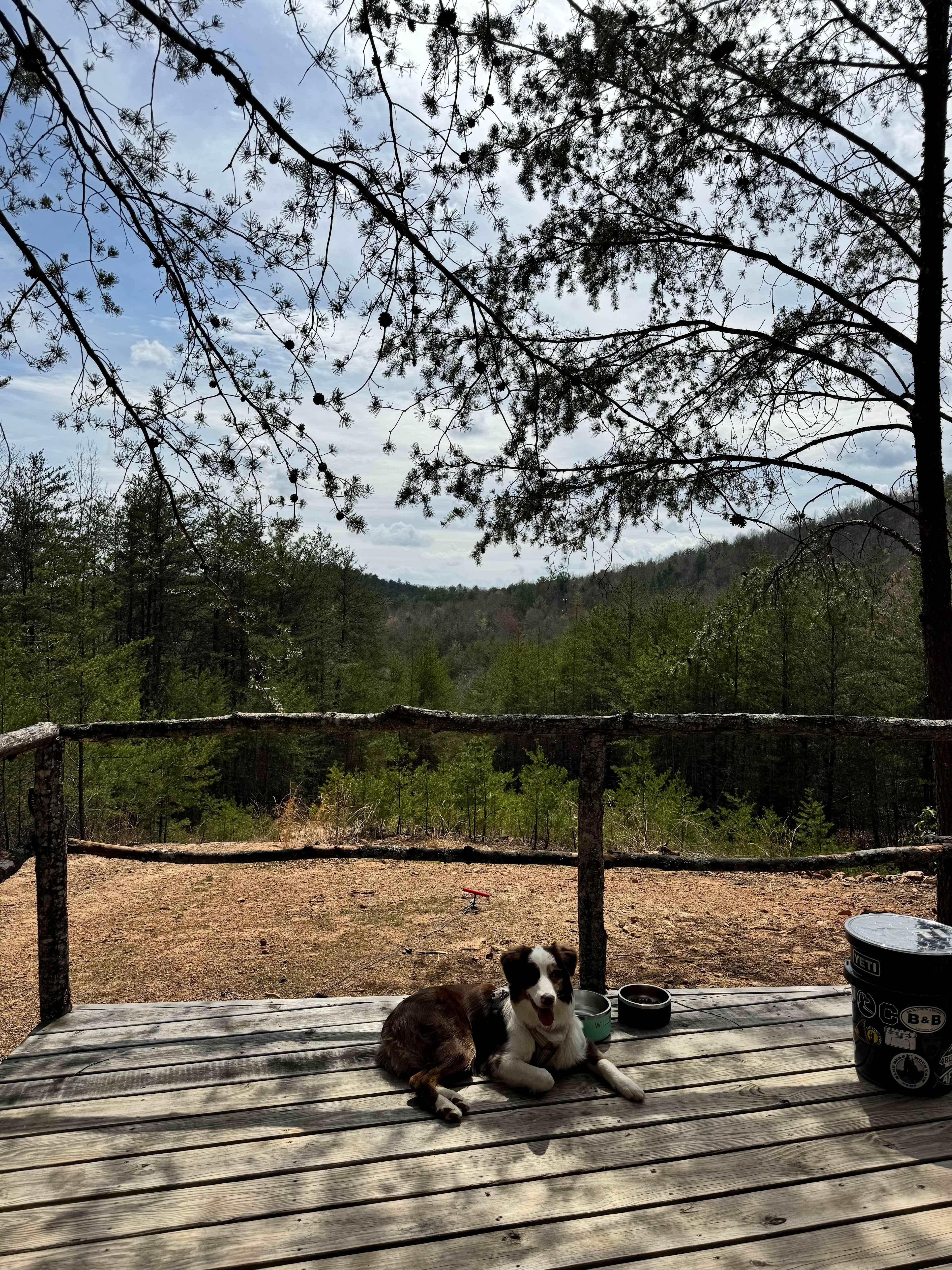 Take a Hike on a Wild side! Camping