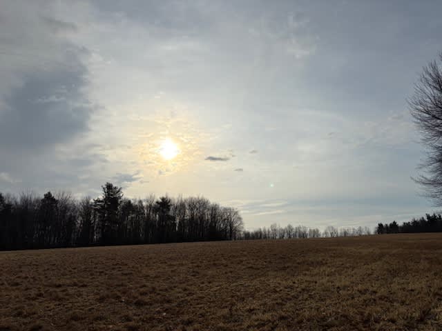 Maple Corner Farm